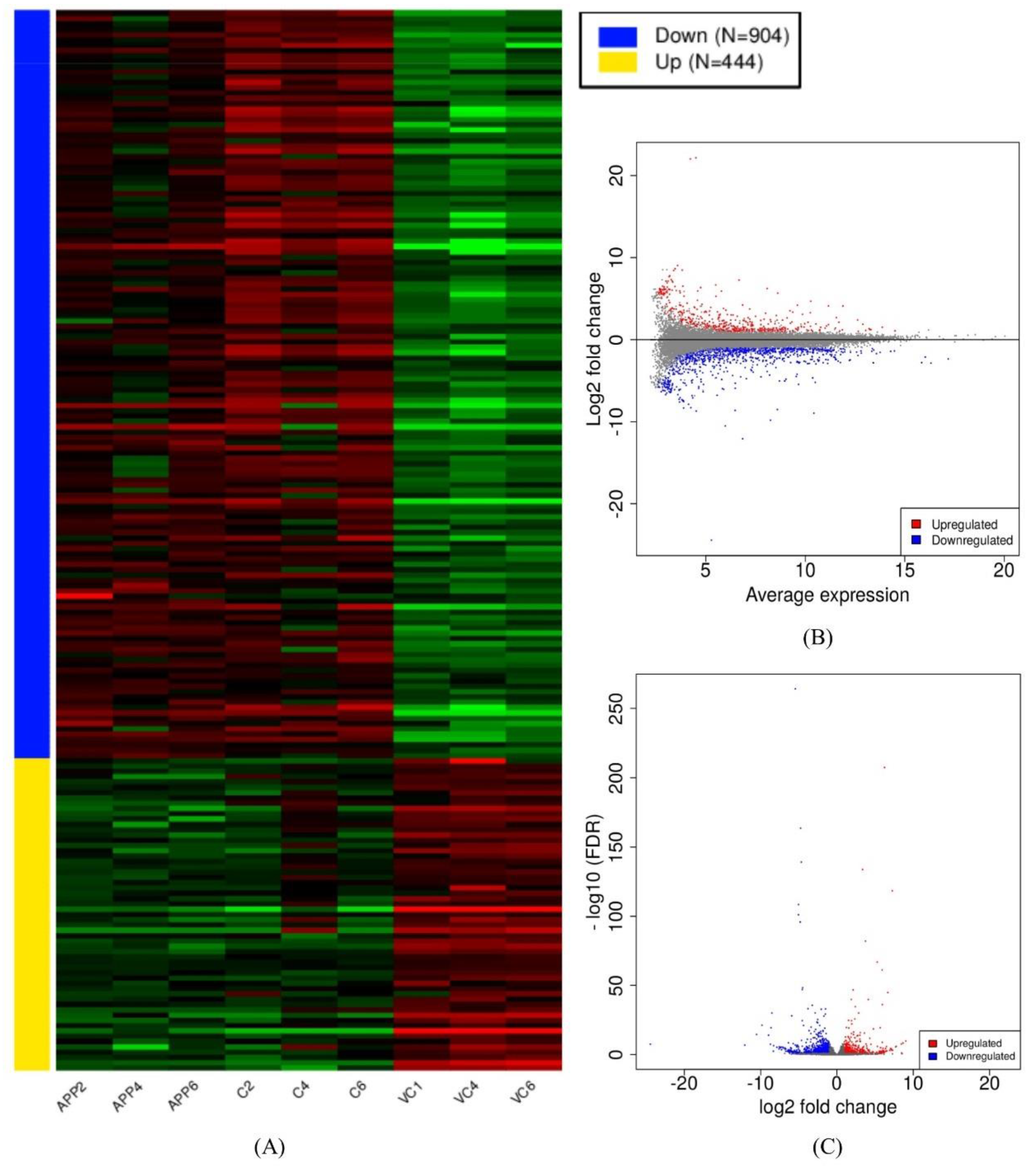 Antioxidants 10 01435 g001