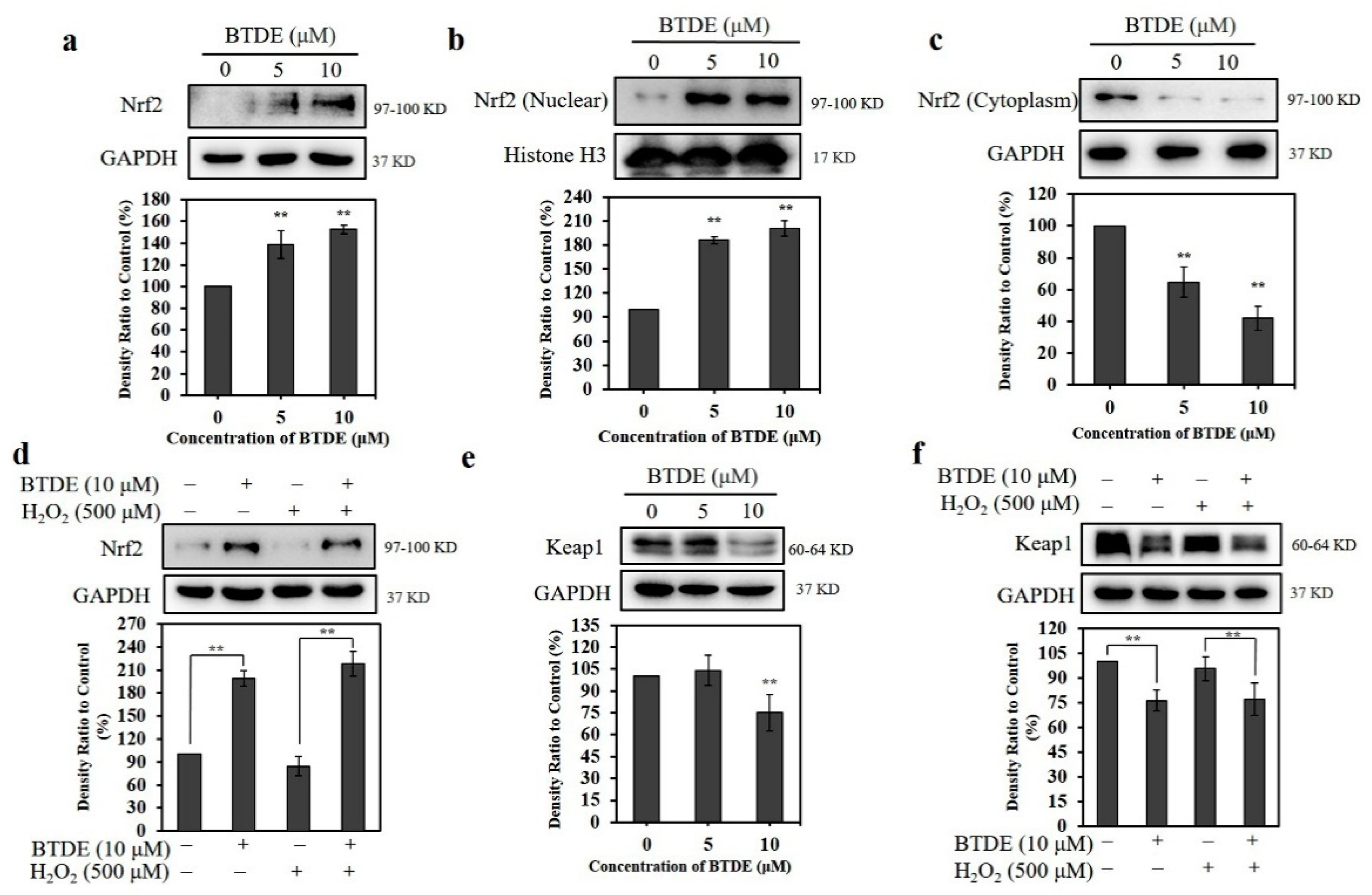 Antioxidants 10 01436 g005