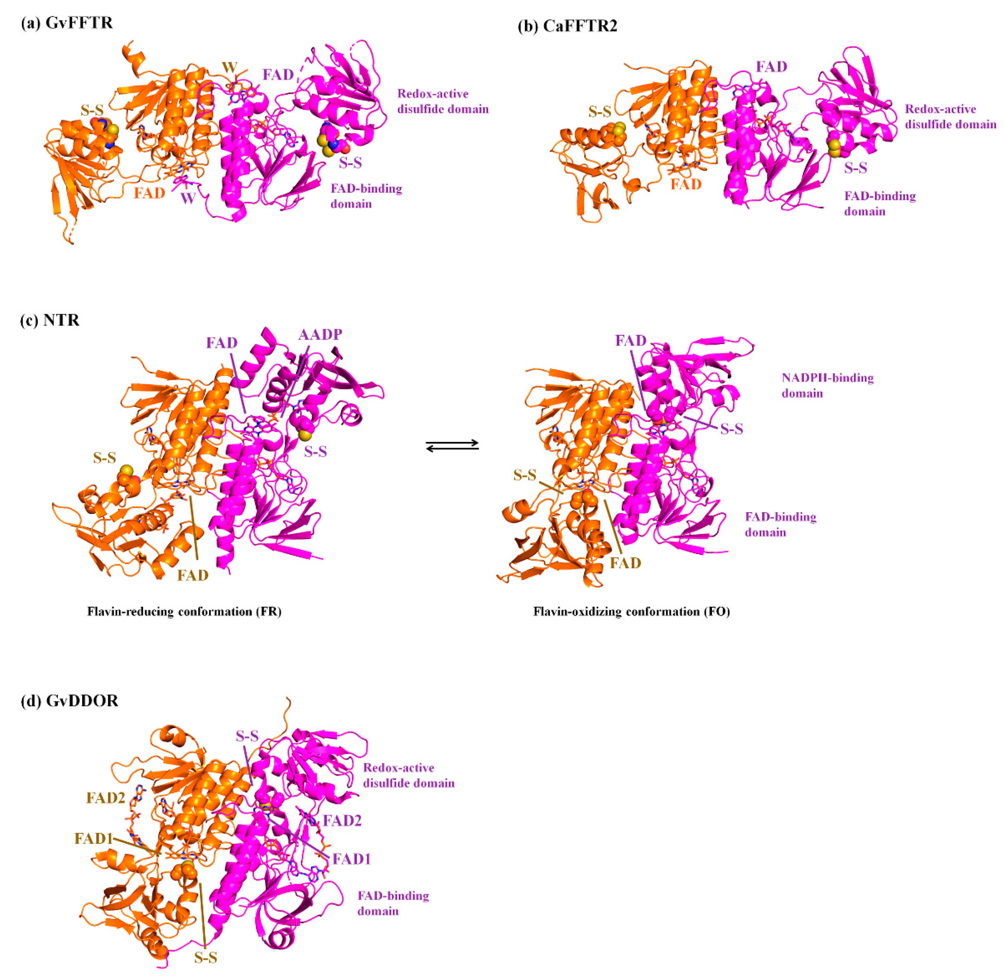 Antioxidants 10 01437 g001