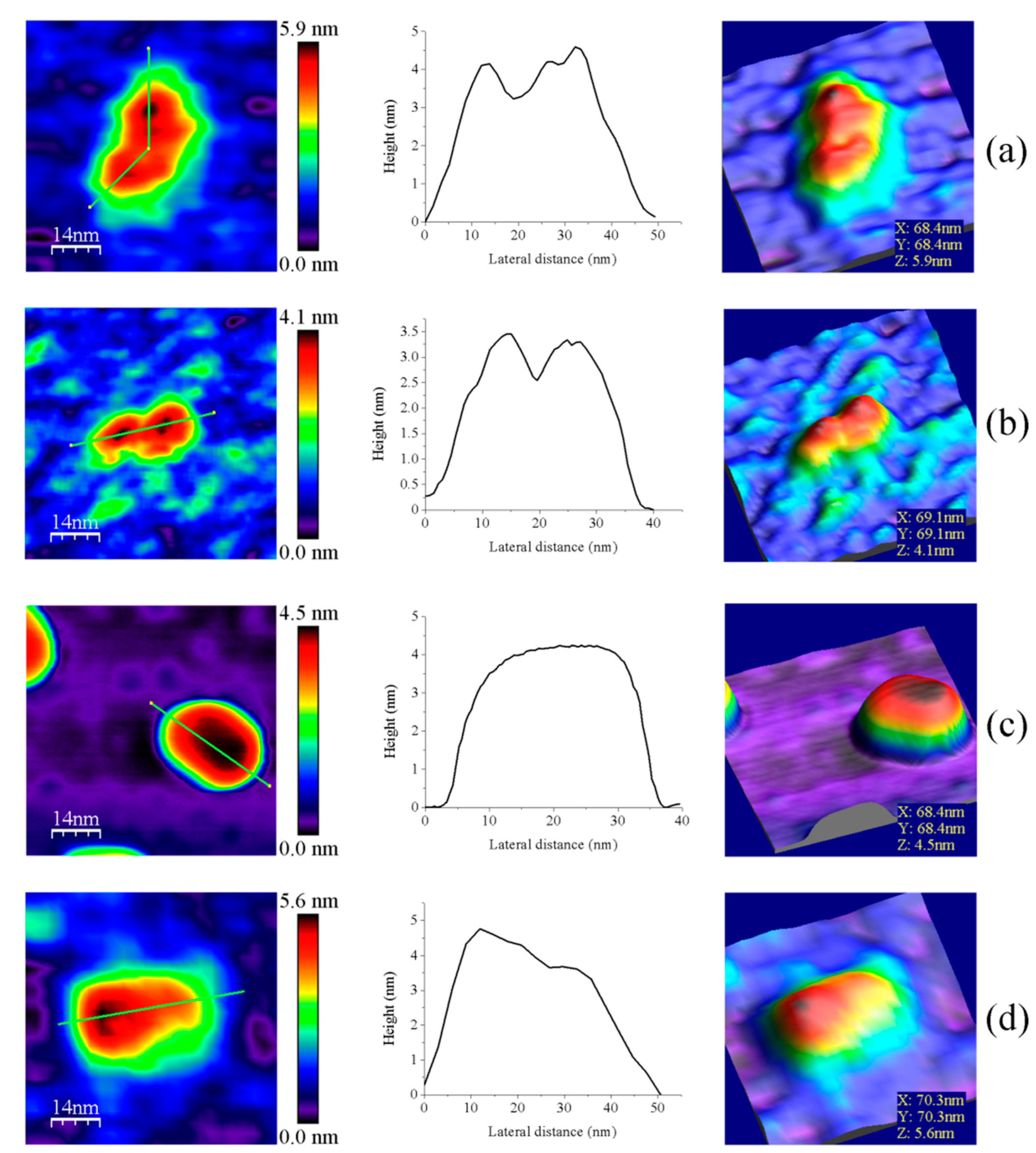 Antioxidants 10 01437 g004