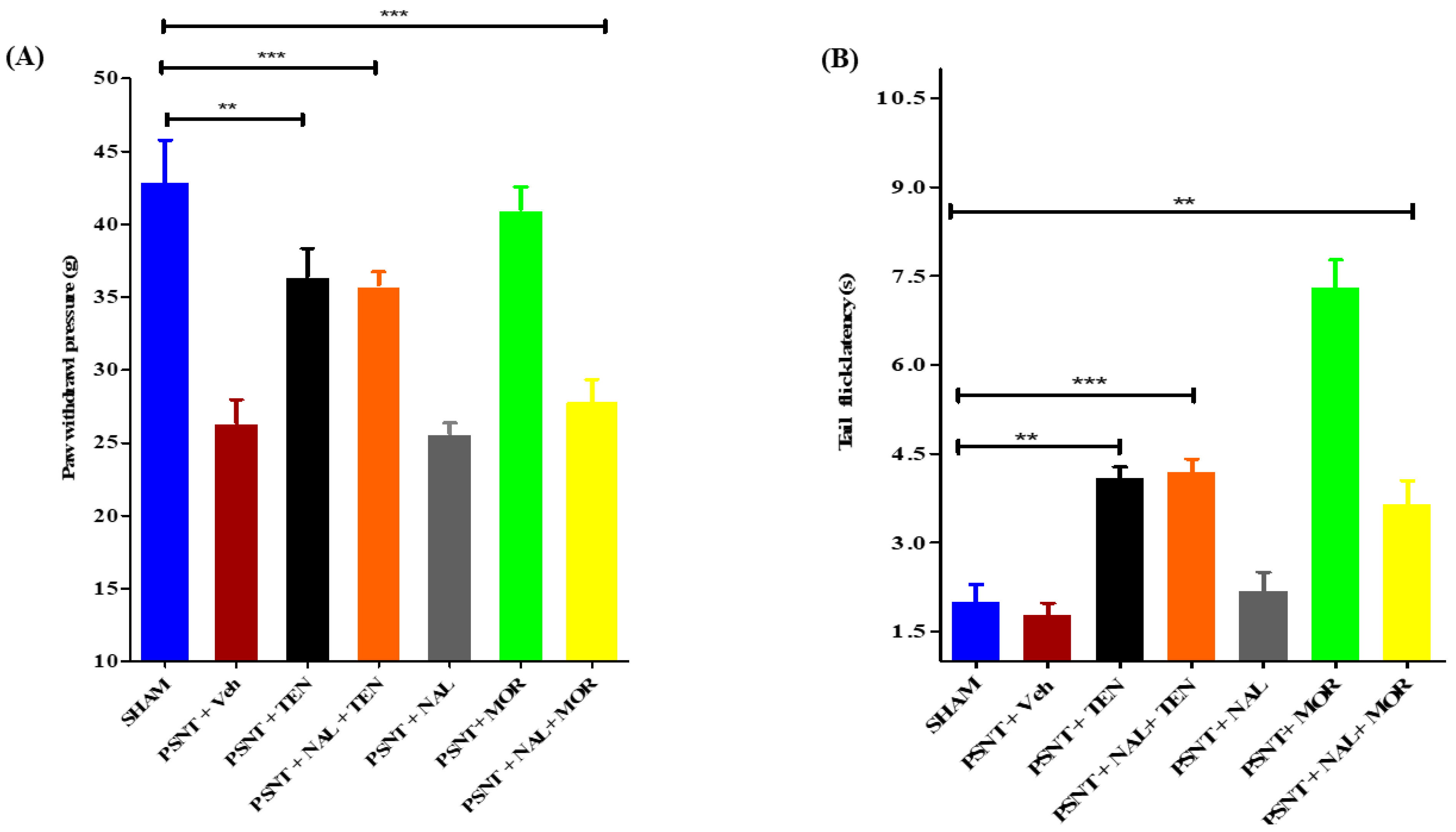 Antioxidants 10 01438 g002