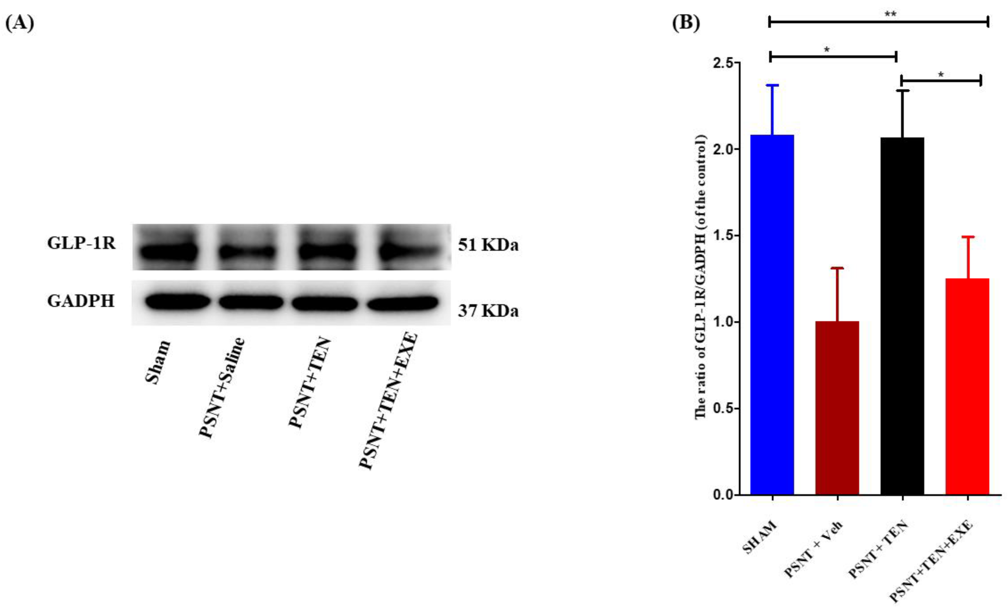 Antioxidants 10 01438 g003