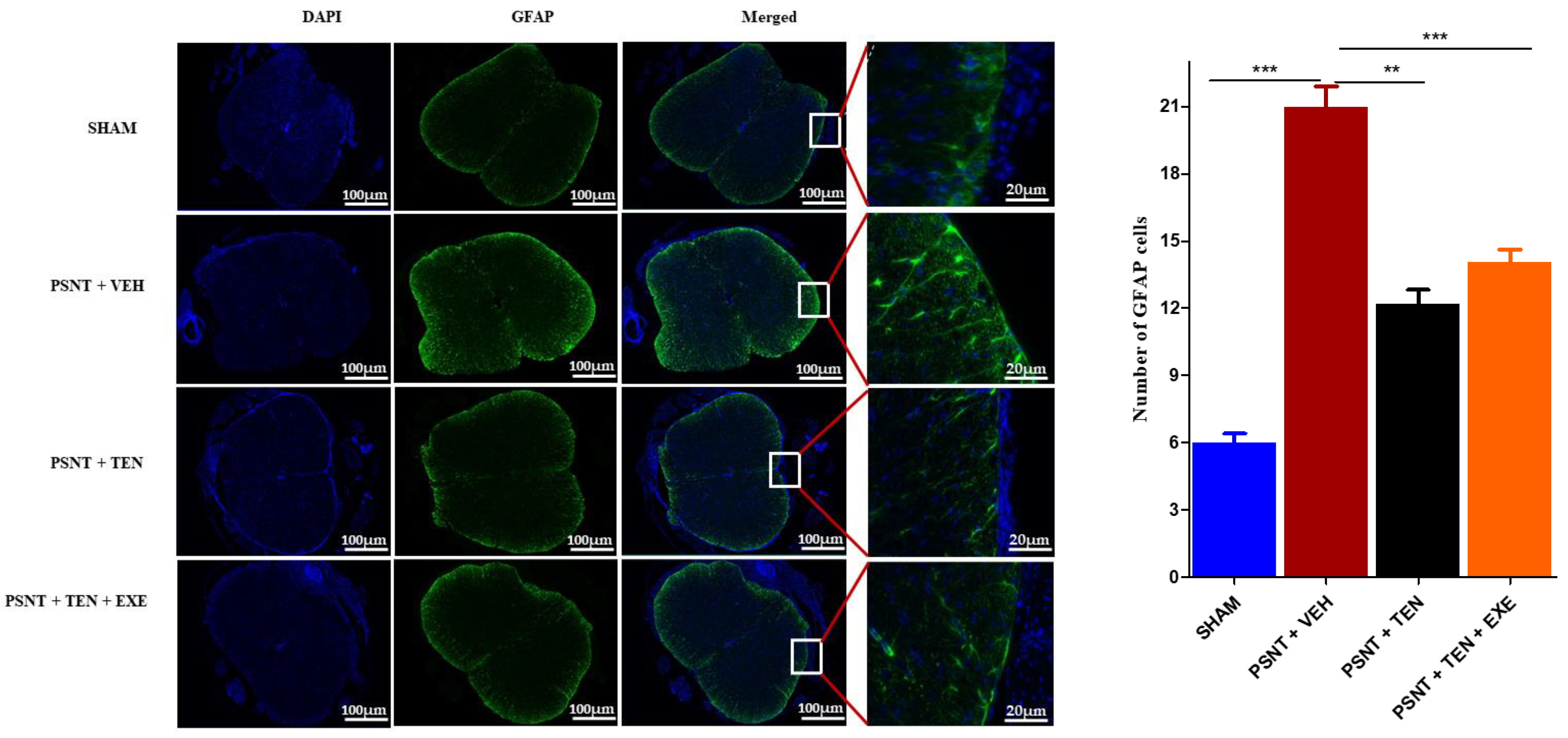 Antioxidants 10 01438 g004