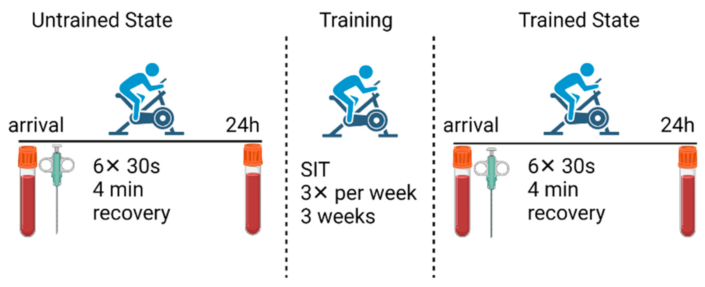 Antioxidants 10 01443 g001