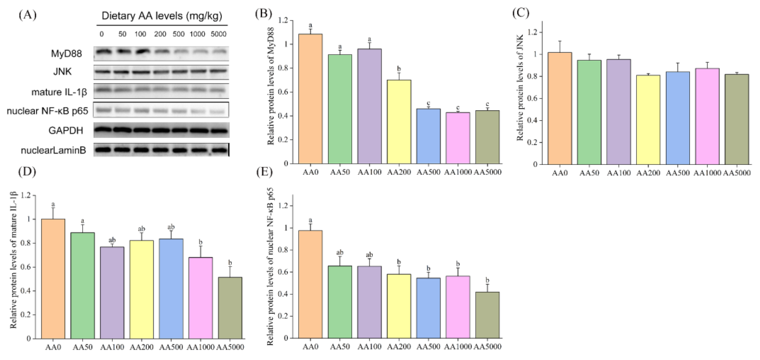 Antioxidants 10 01449 g002 Antioxidants 10 01449 g002