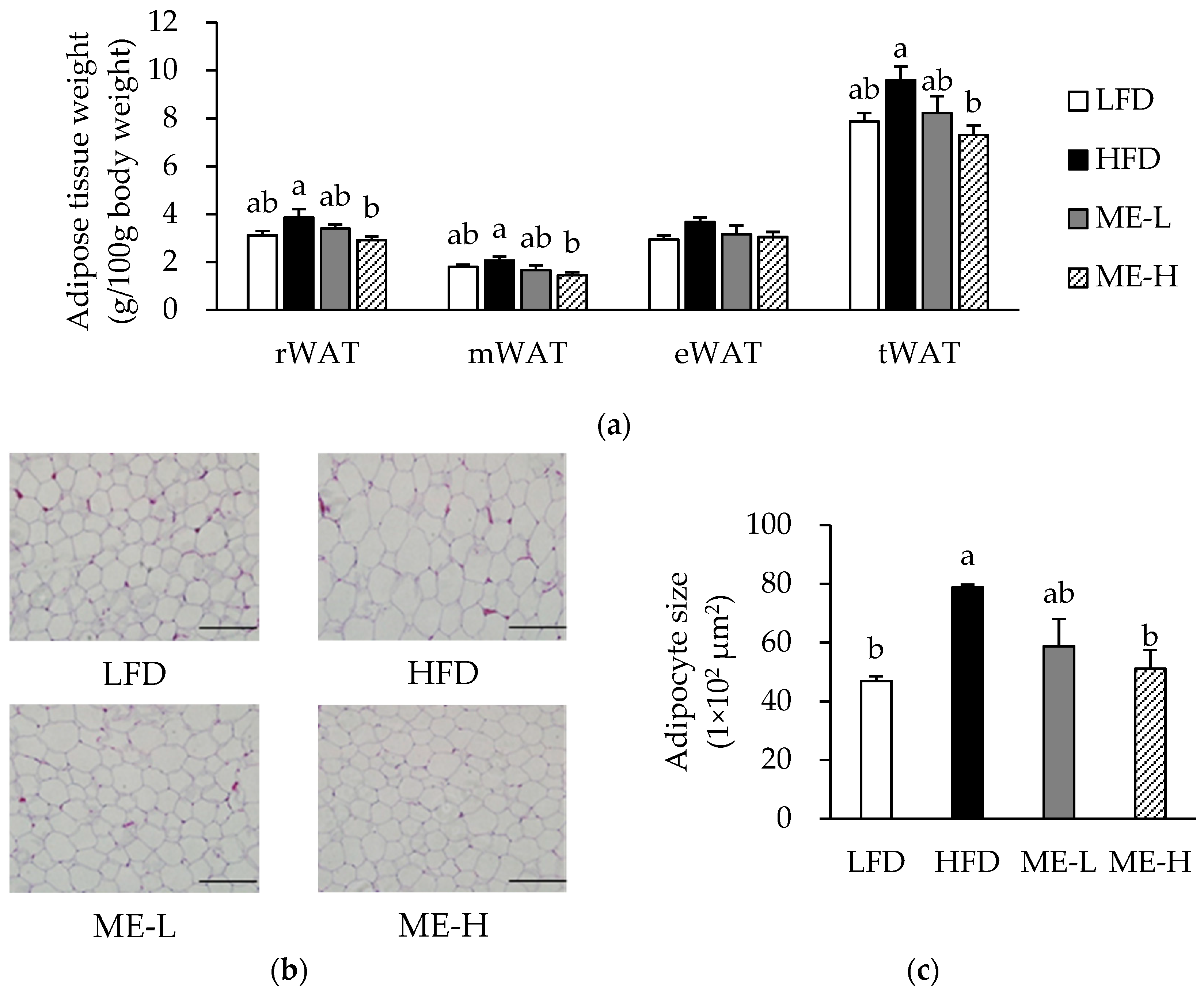 Antioxidants 10 01453 g001a