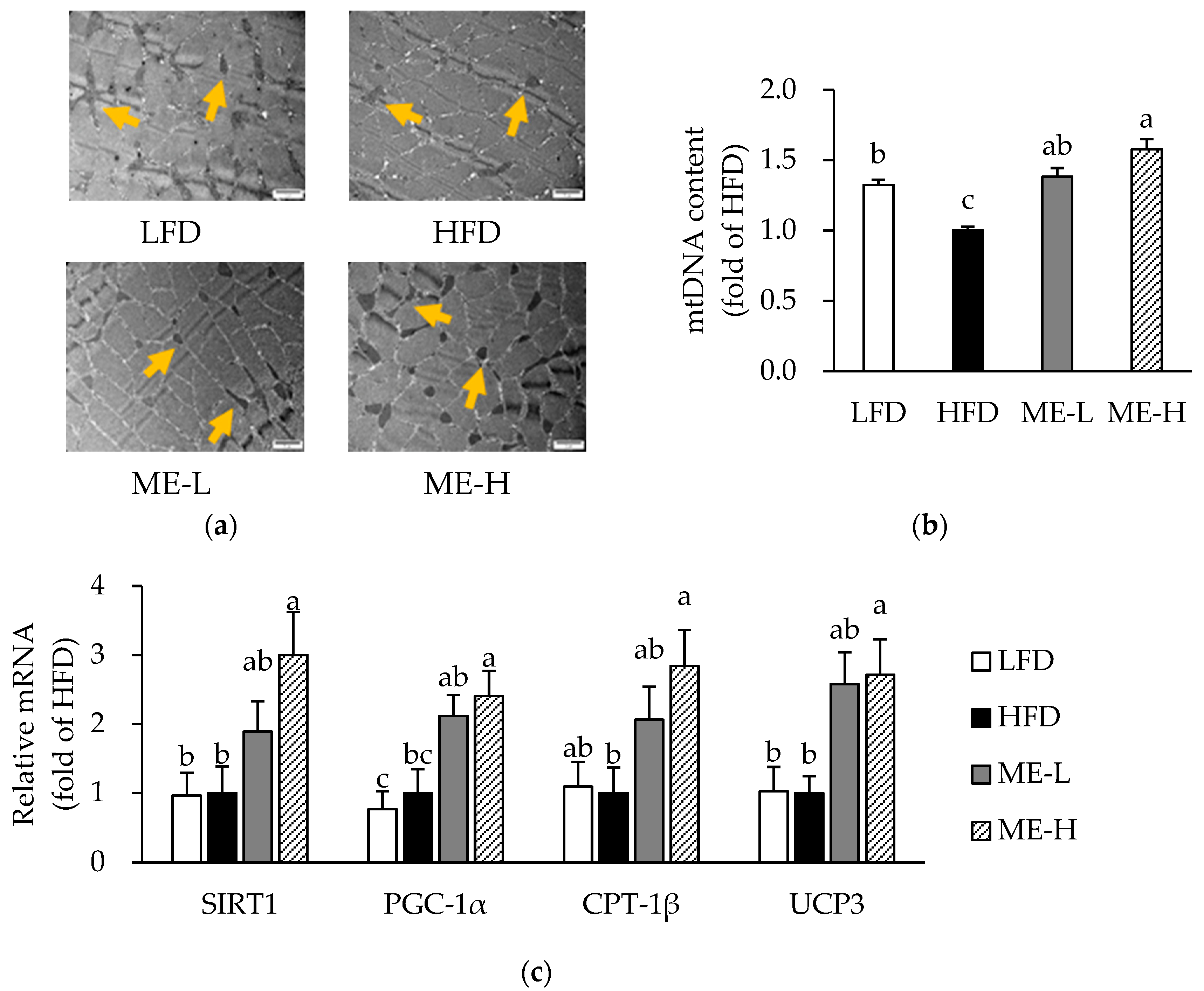 Antioxidants 10 01453 g005