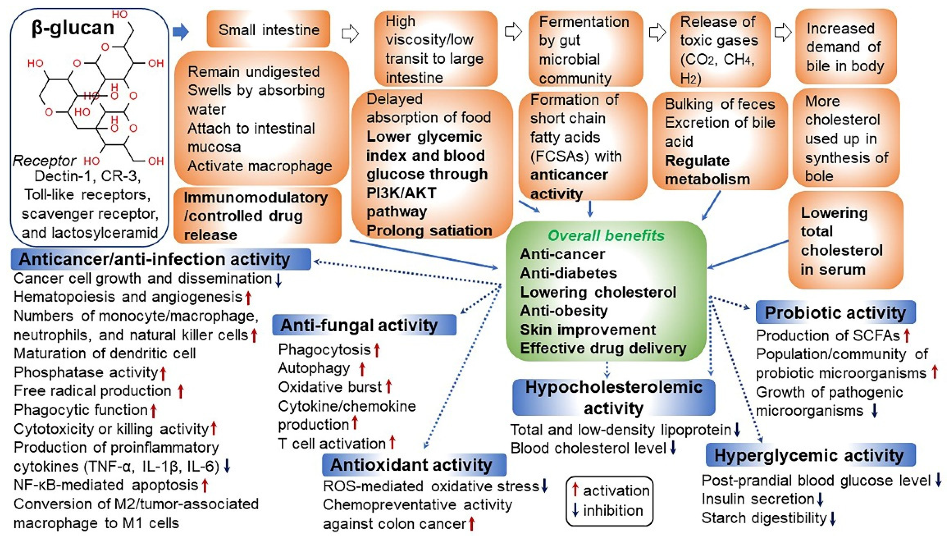 Antioxidants 10 01454 g003
