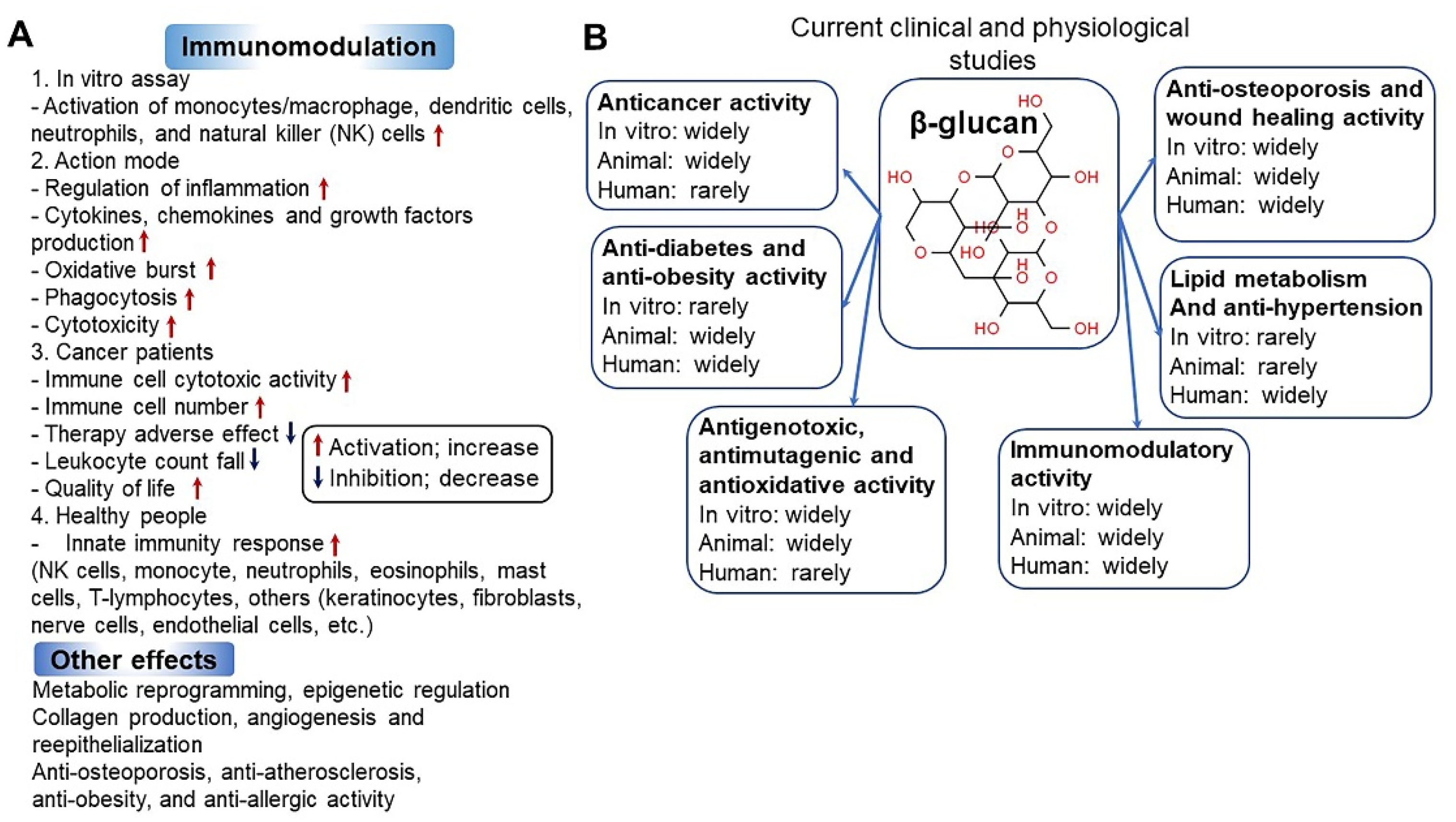 Antioxidants 10 01454 g004