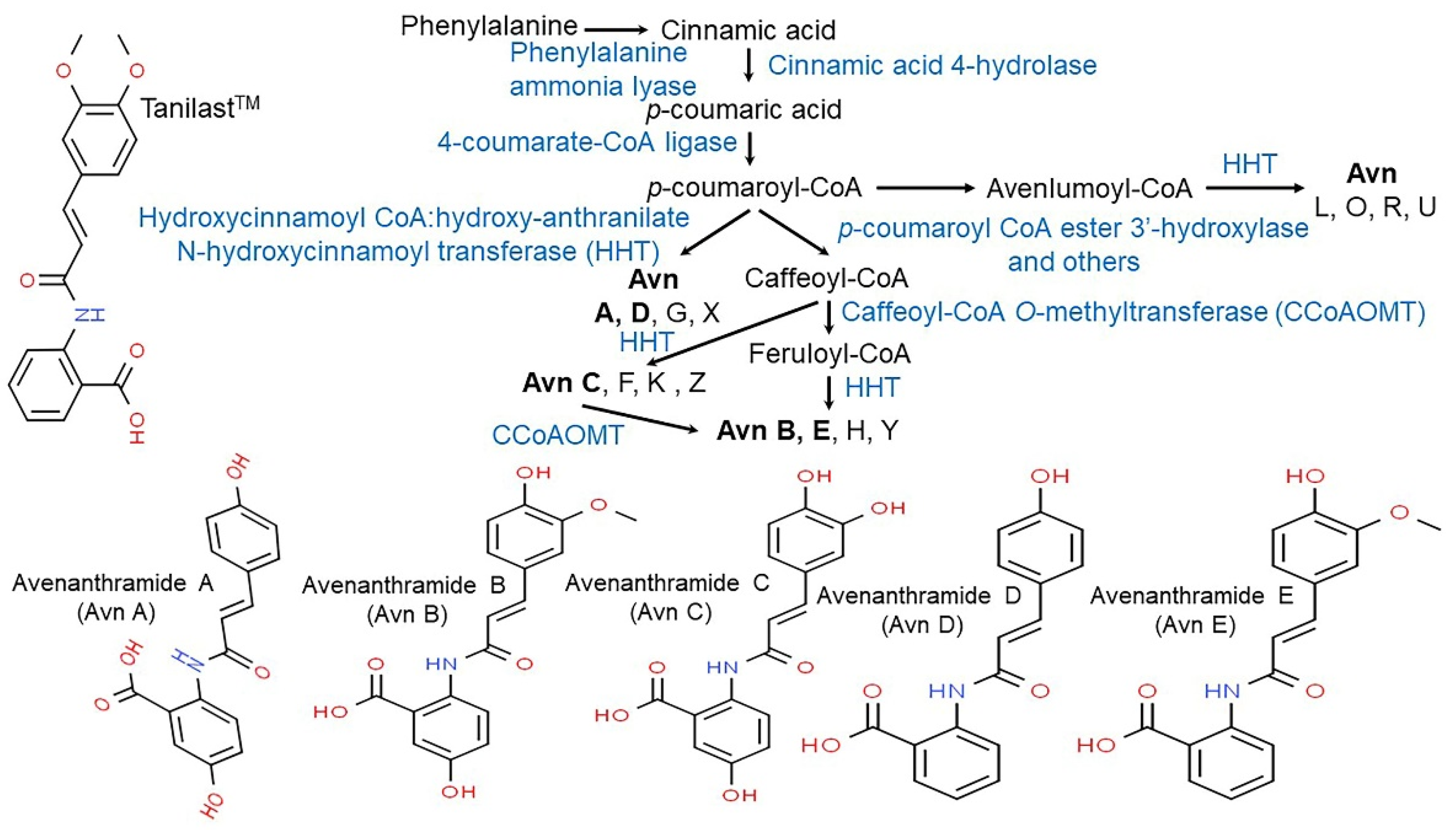 Antioxidants 10 01454 g007