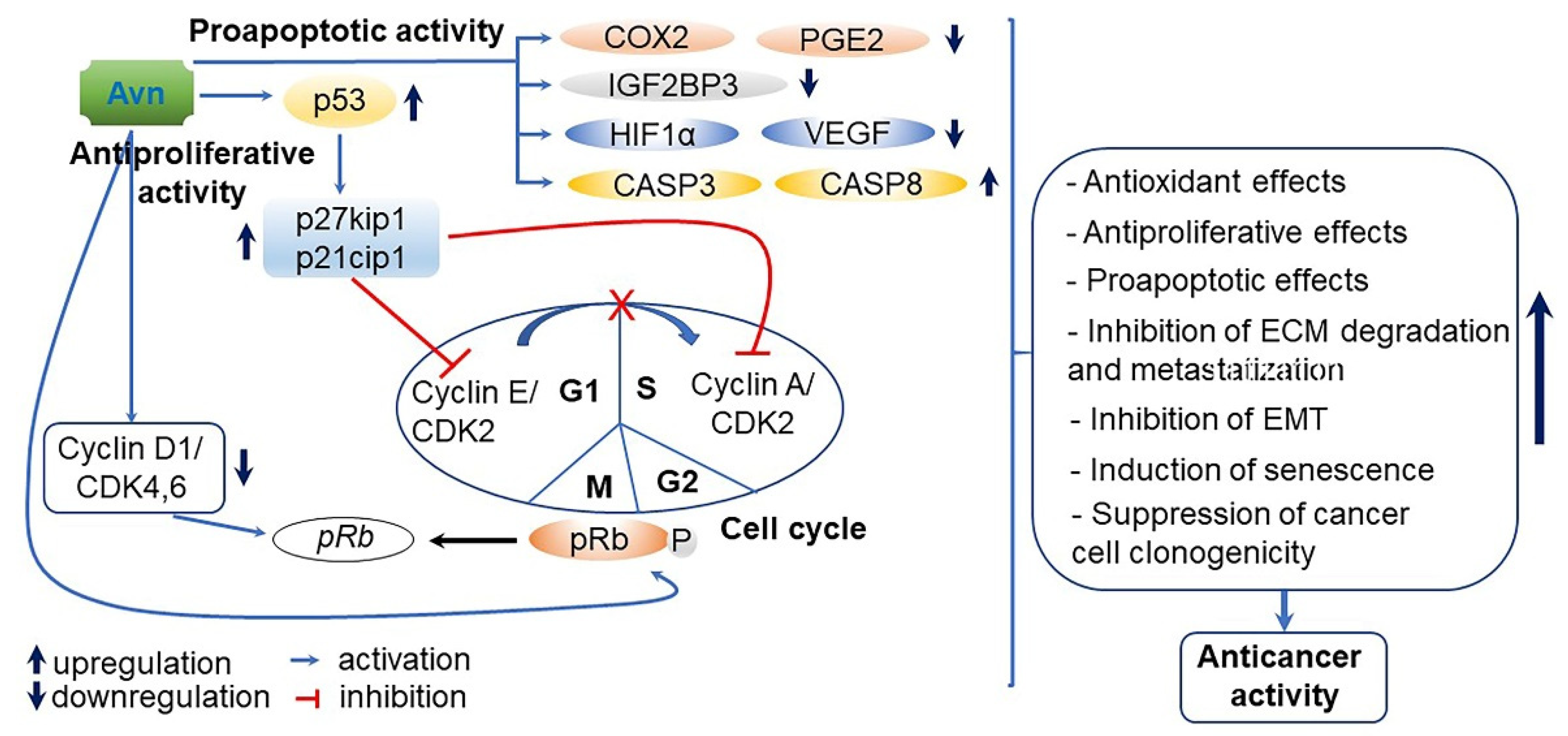Antioxidants 10 01454 g009