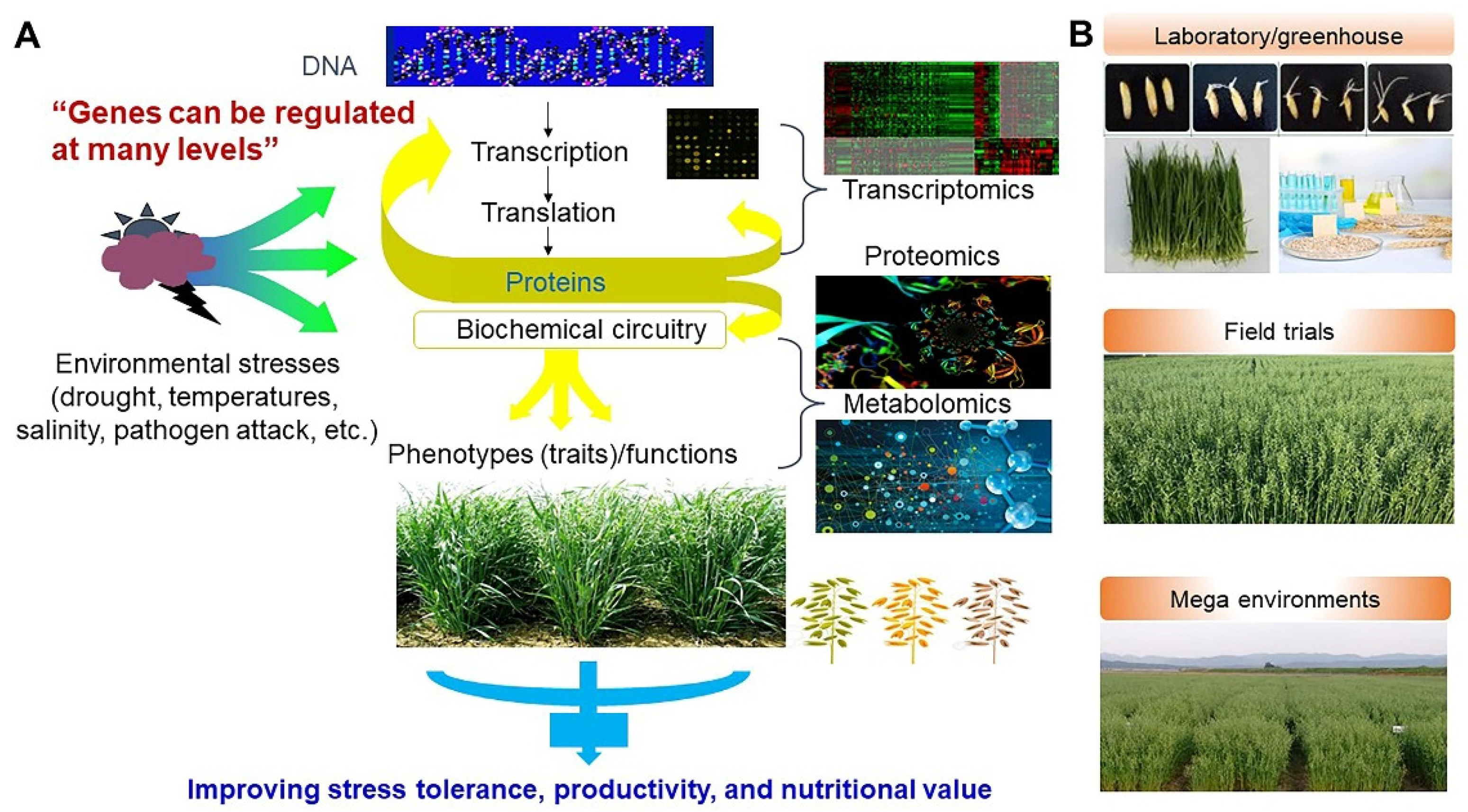 Antioxidants 10 01454 g014