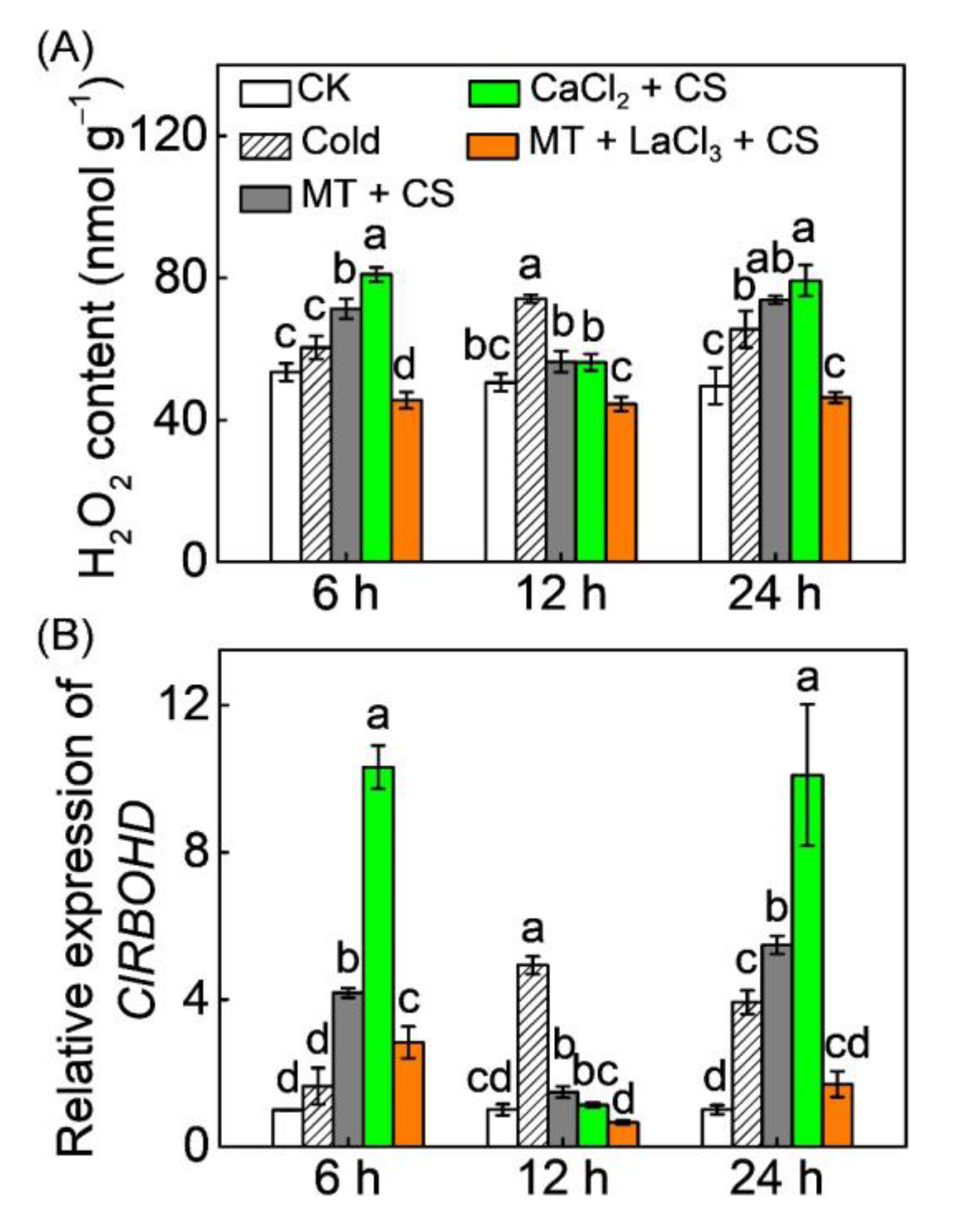 Antioxidants 10 01457 g004
