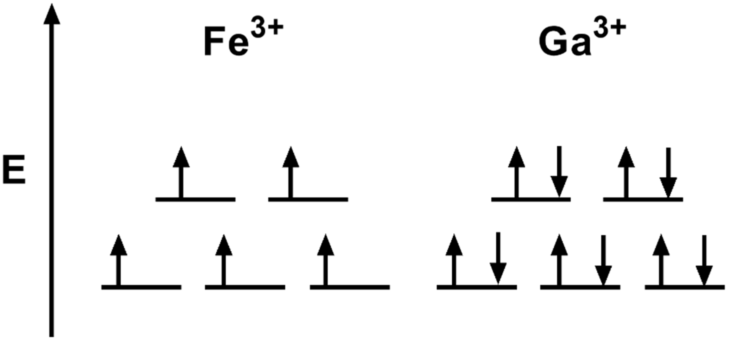 Antioxidants 10 01458 g008