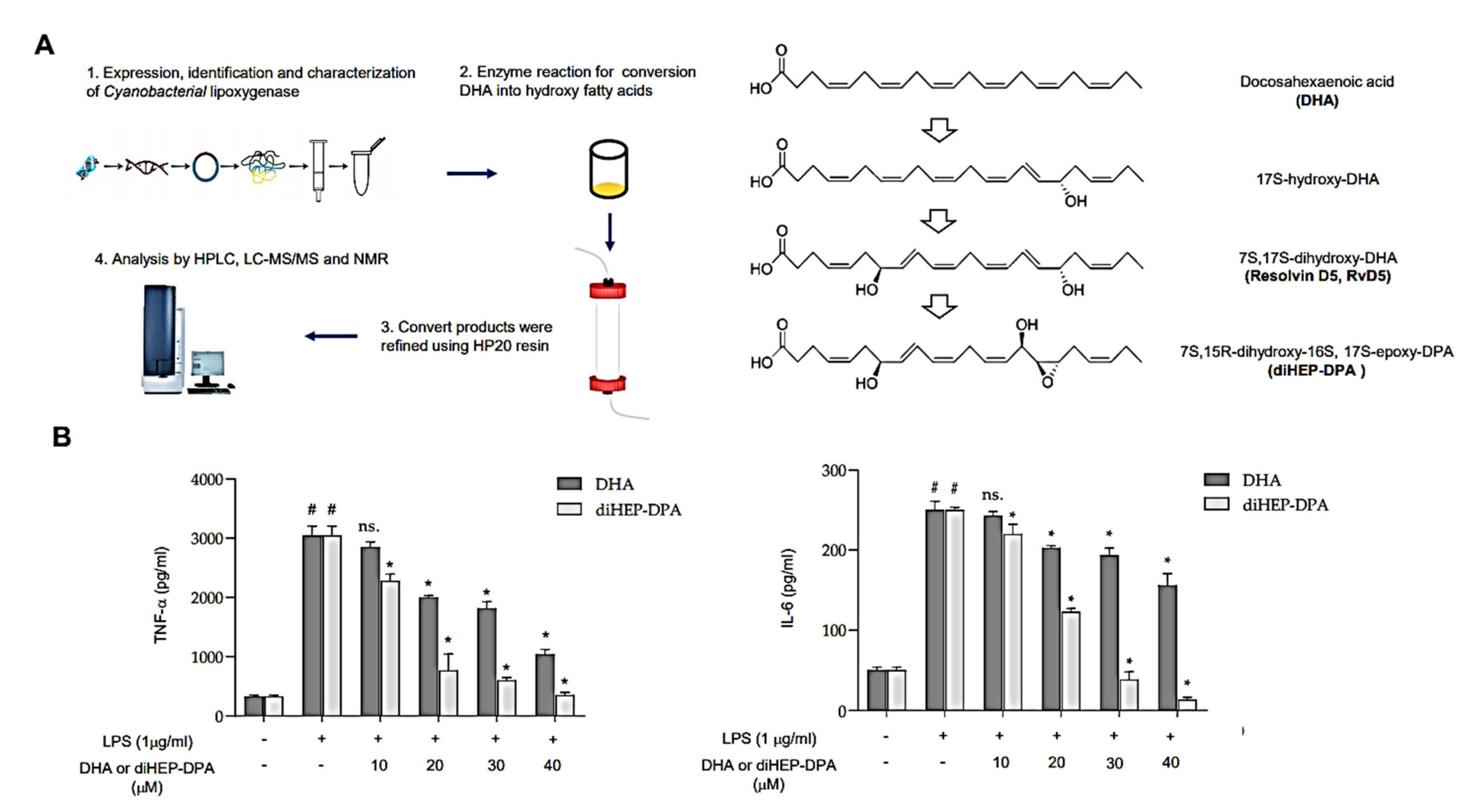 Antioxidants 10 01459 g001