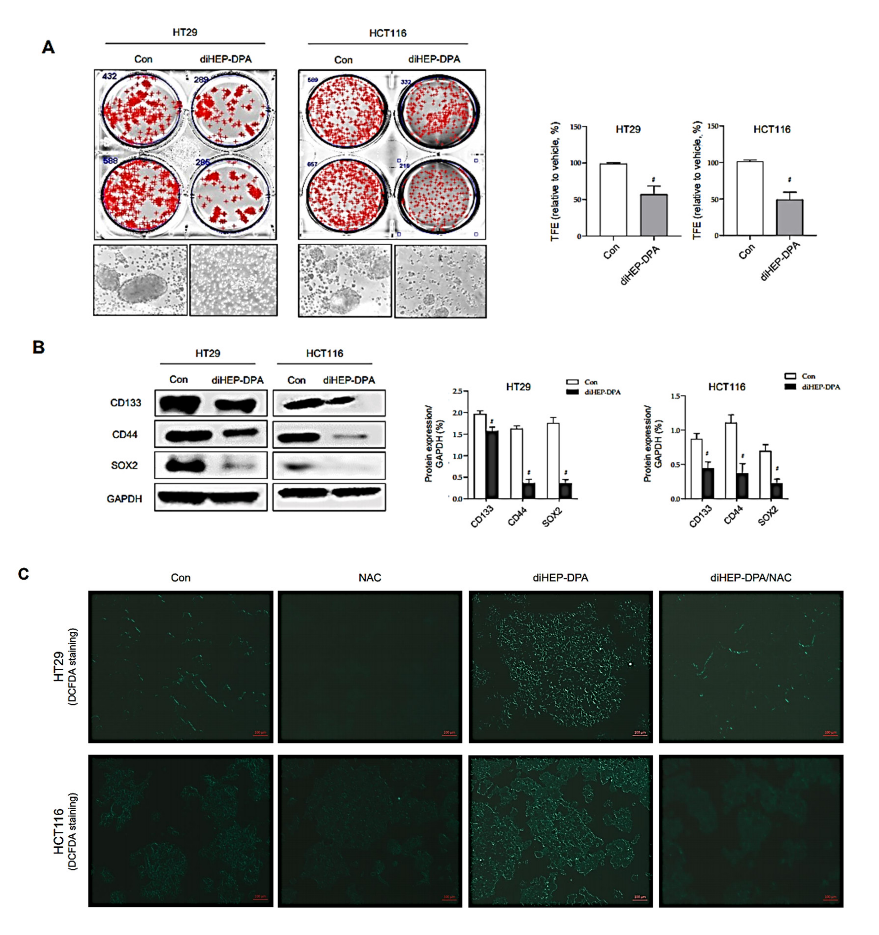 Antioxidants 10 01459 g005a