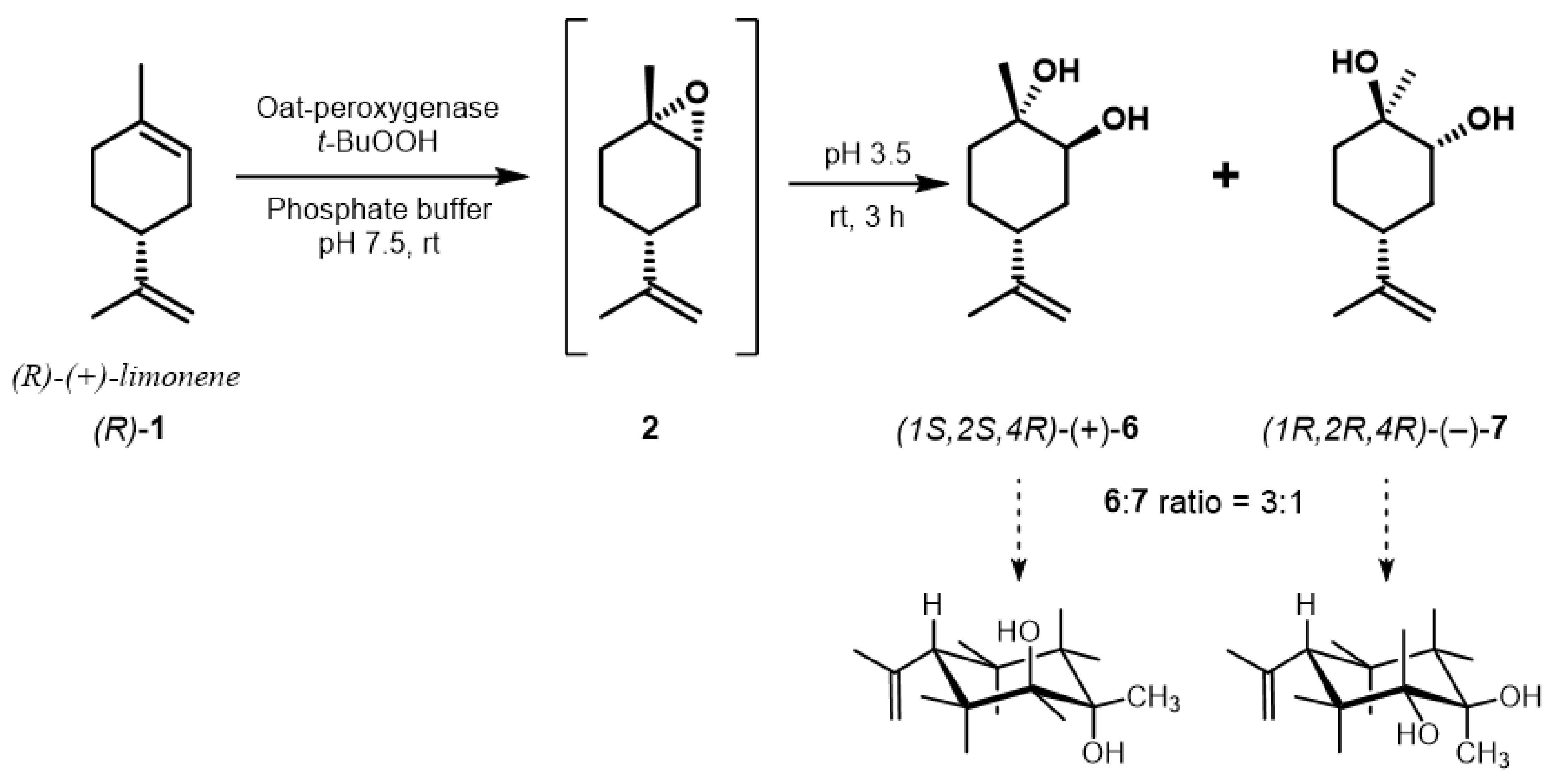 Antioxidants 10 01462 sch003