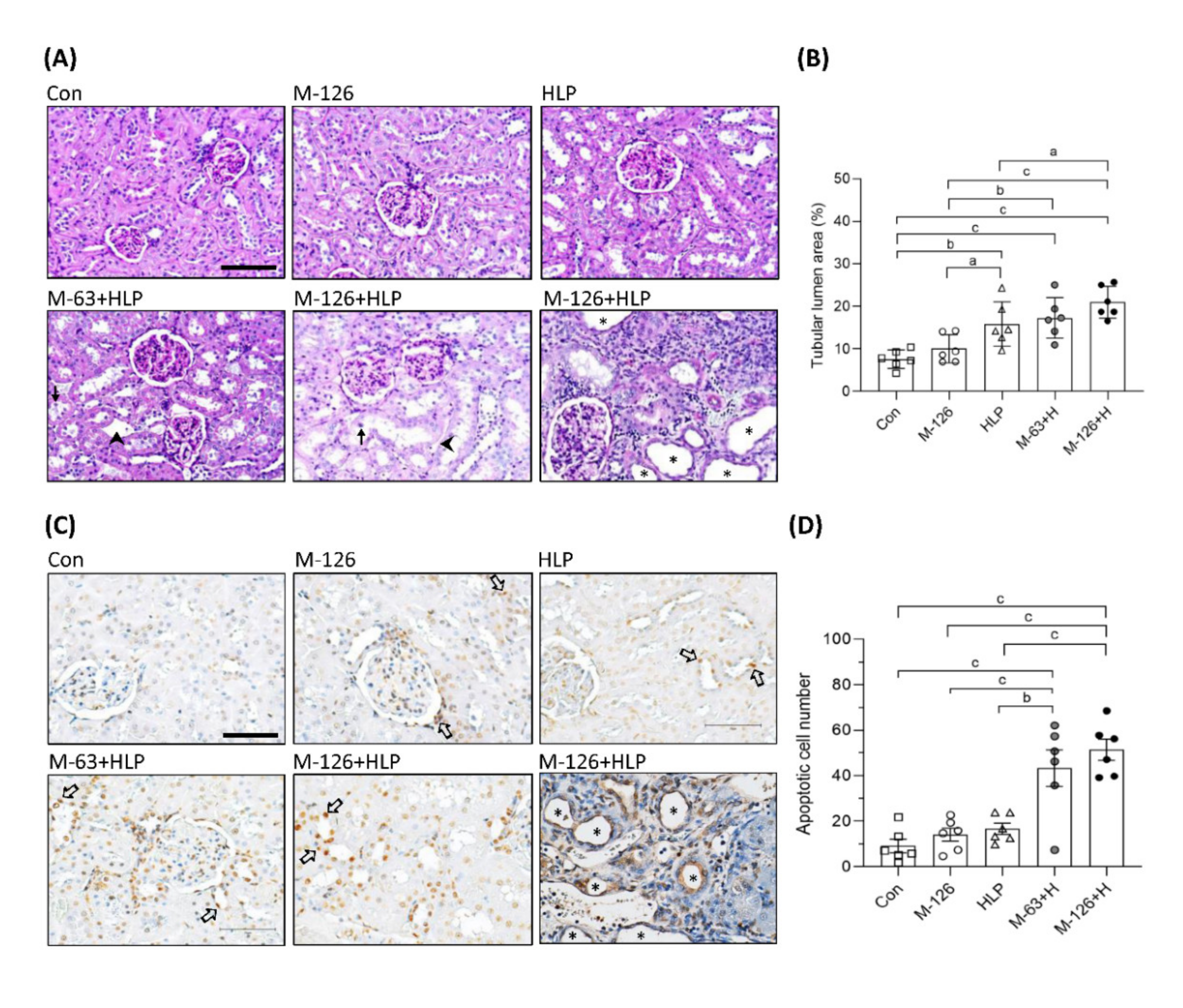 Antioxidants 10 01464 g004