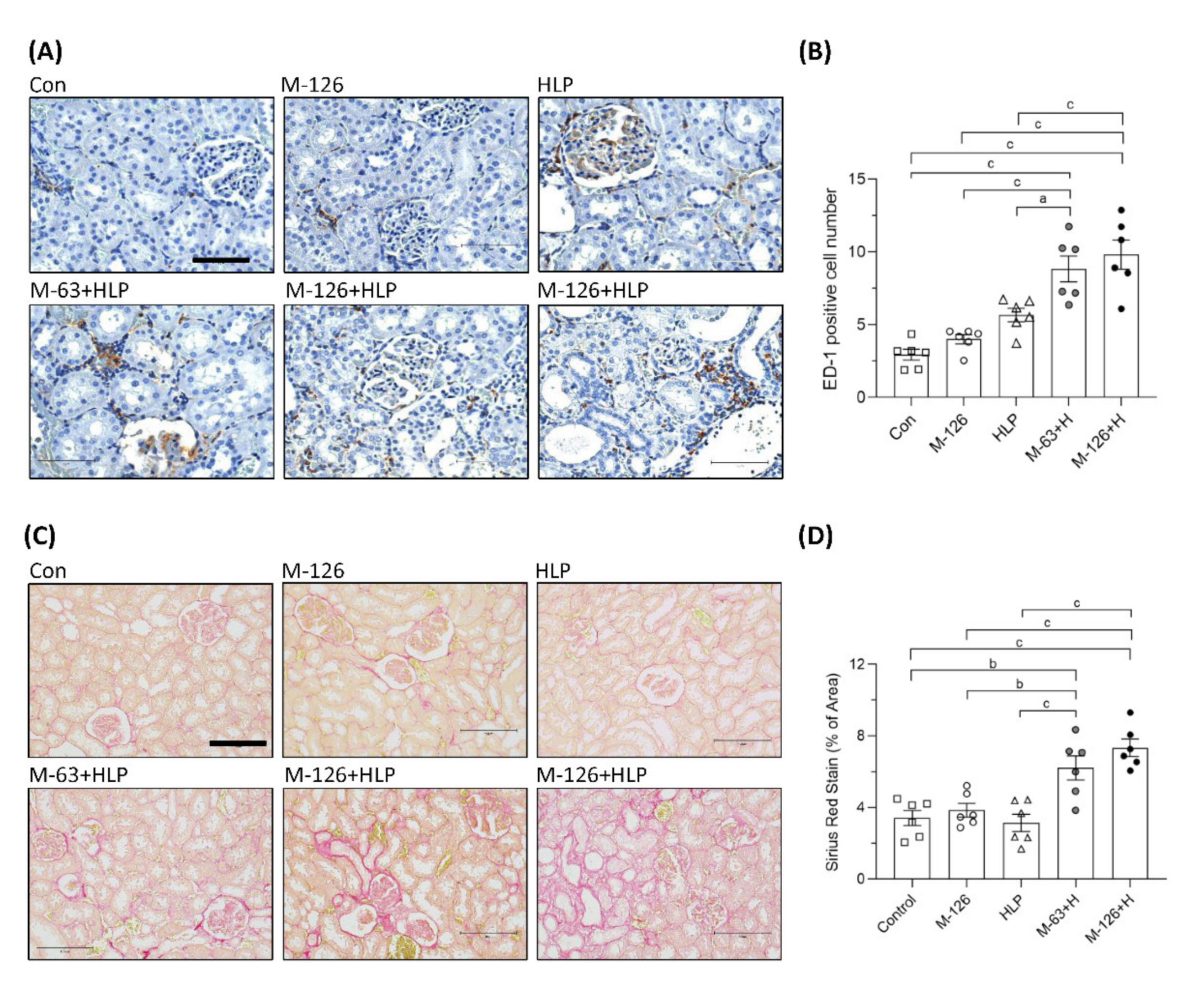 Antioxidants 10 01464 g005