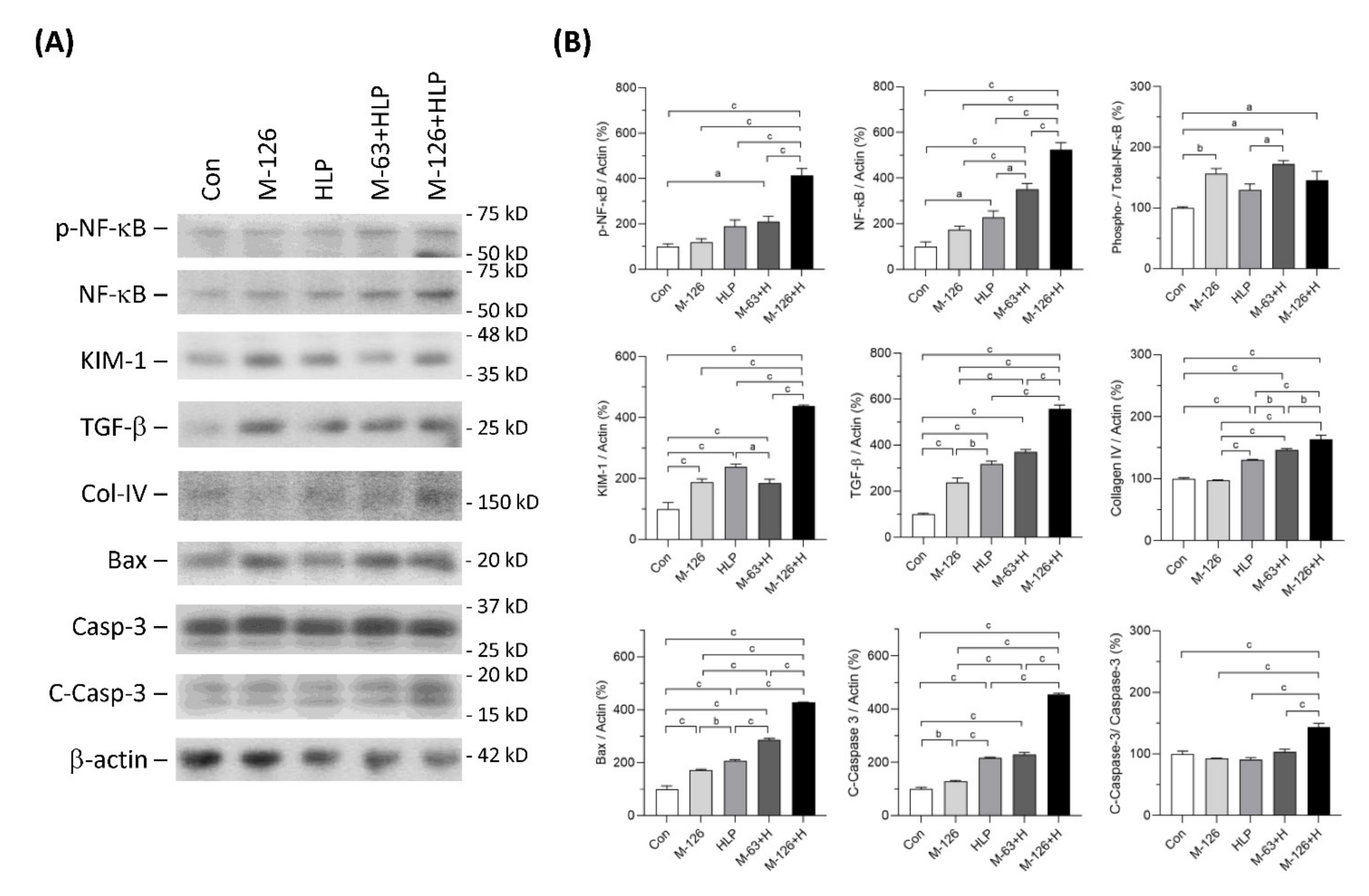 Antioxidants 10 01464 g006