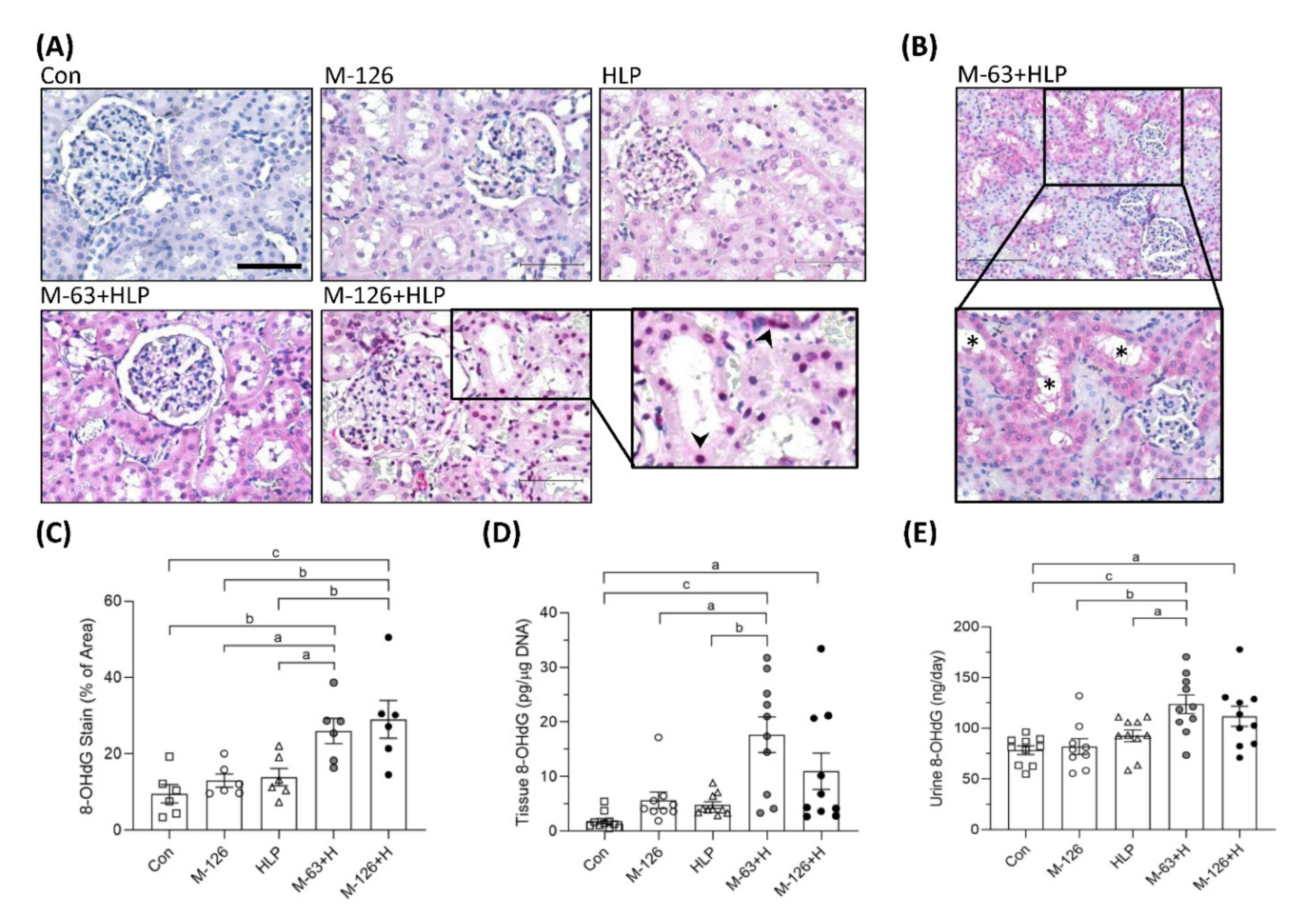 Antioxidants 10 01464 g008