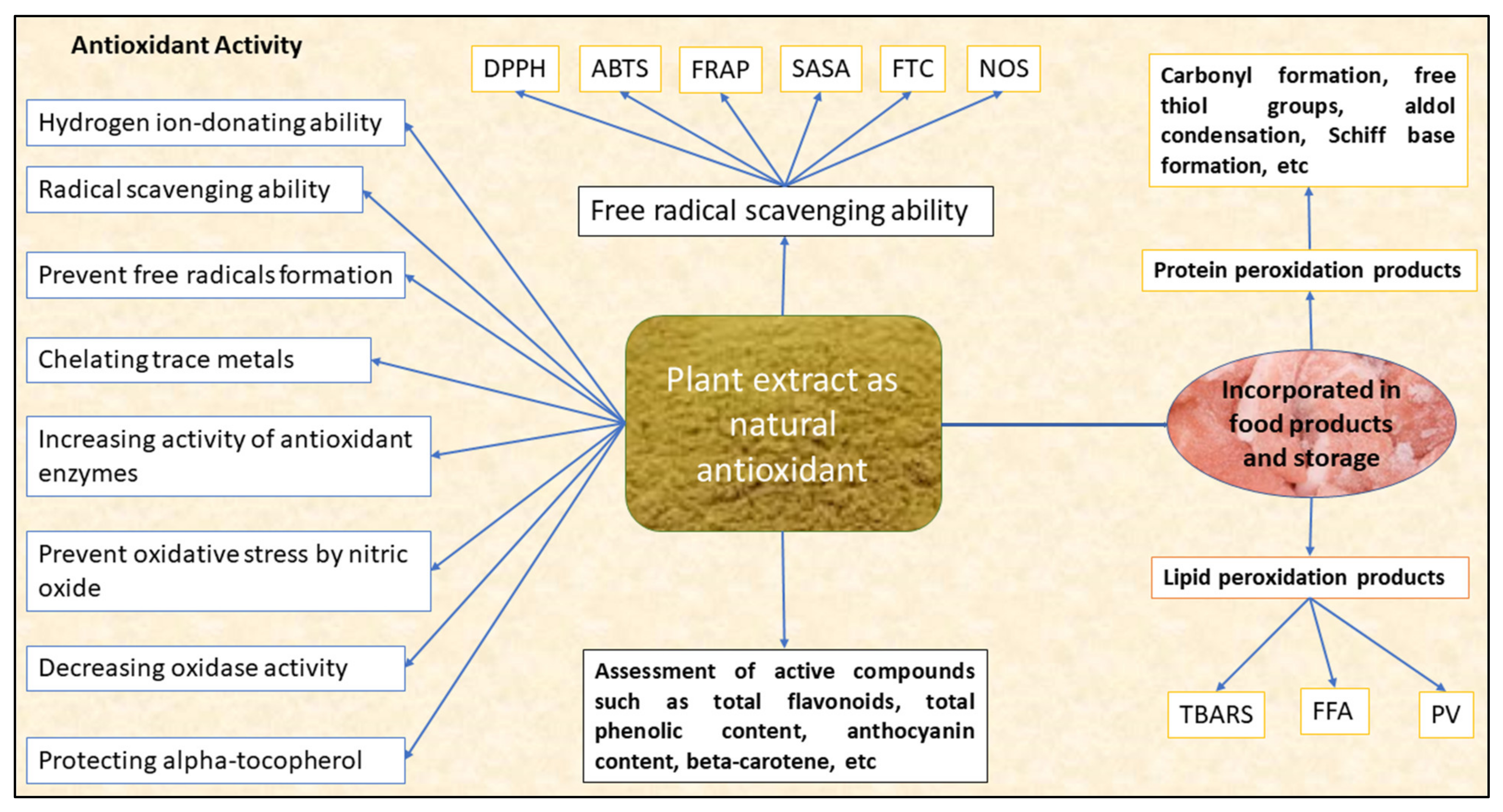 Antioxidants 10 01465 g001