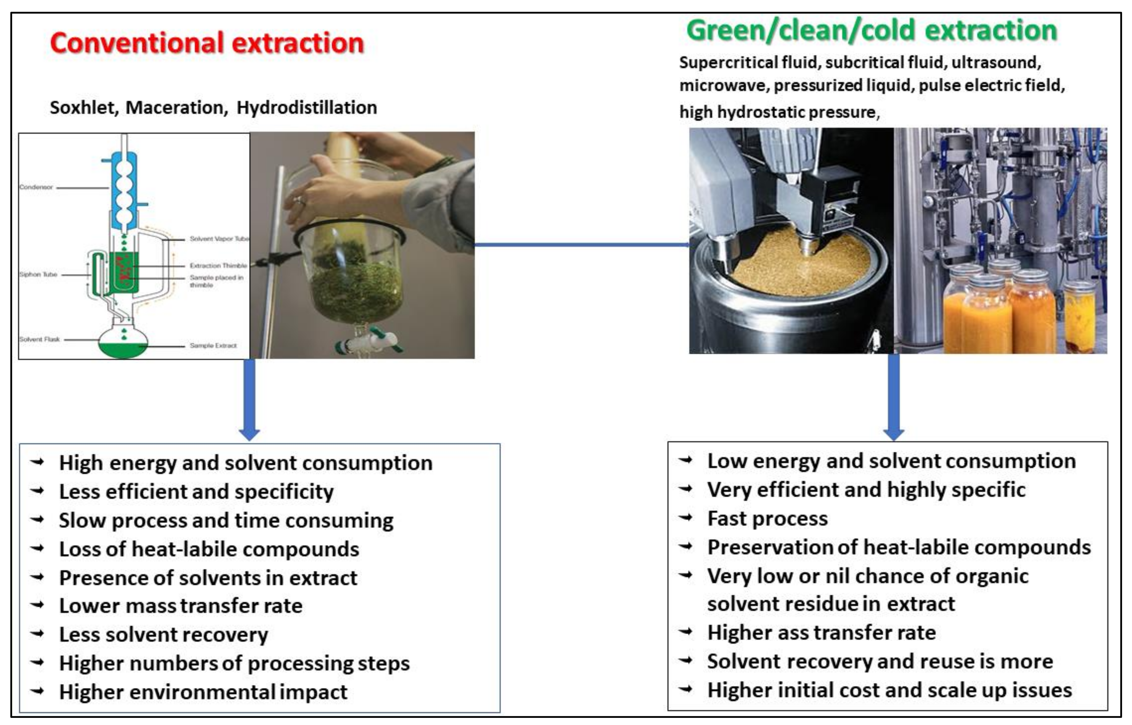 Antioxidants 10 01465 g003