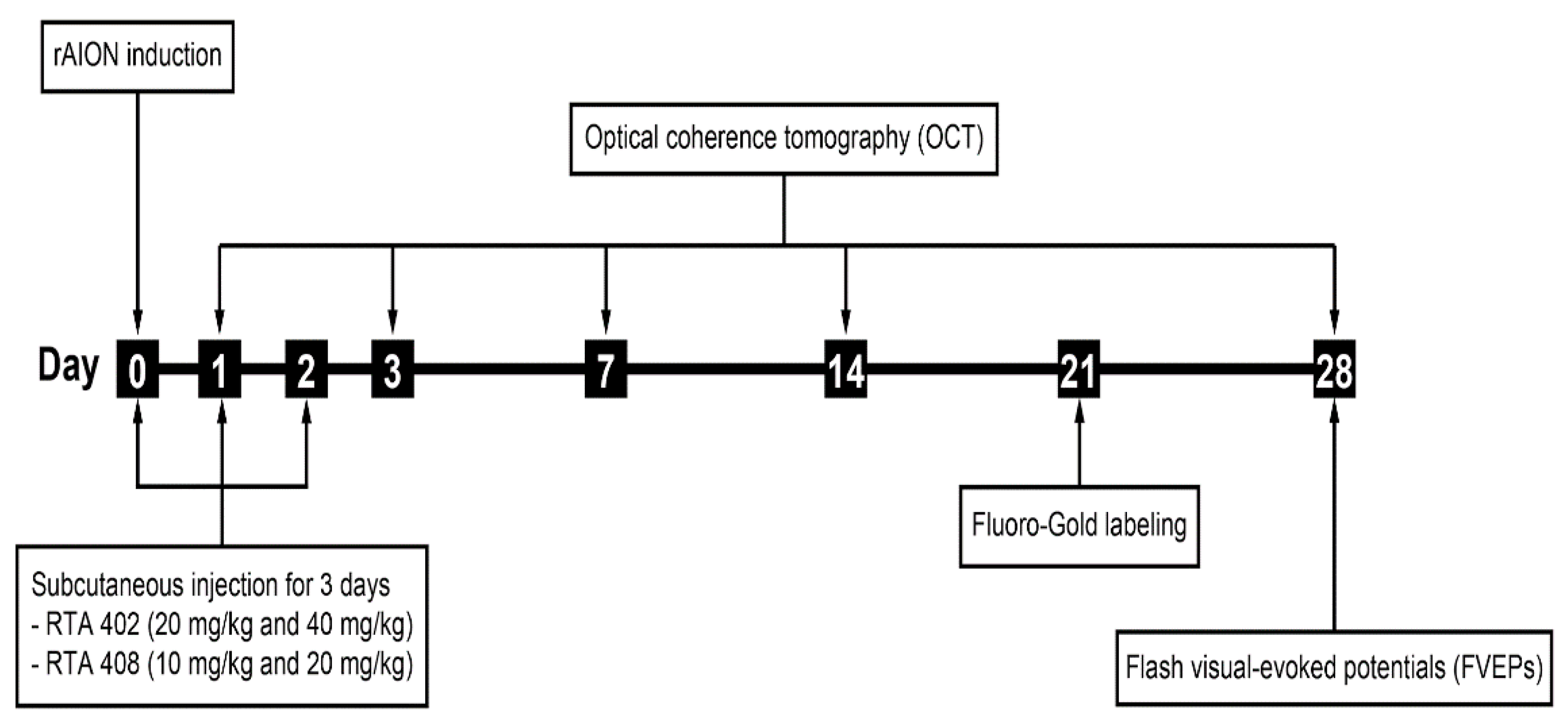 Antioxidants 10 01466 g001