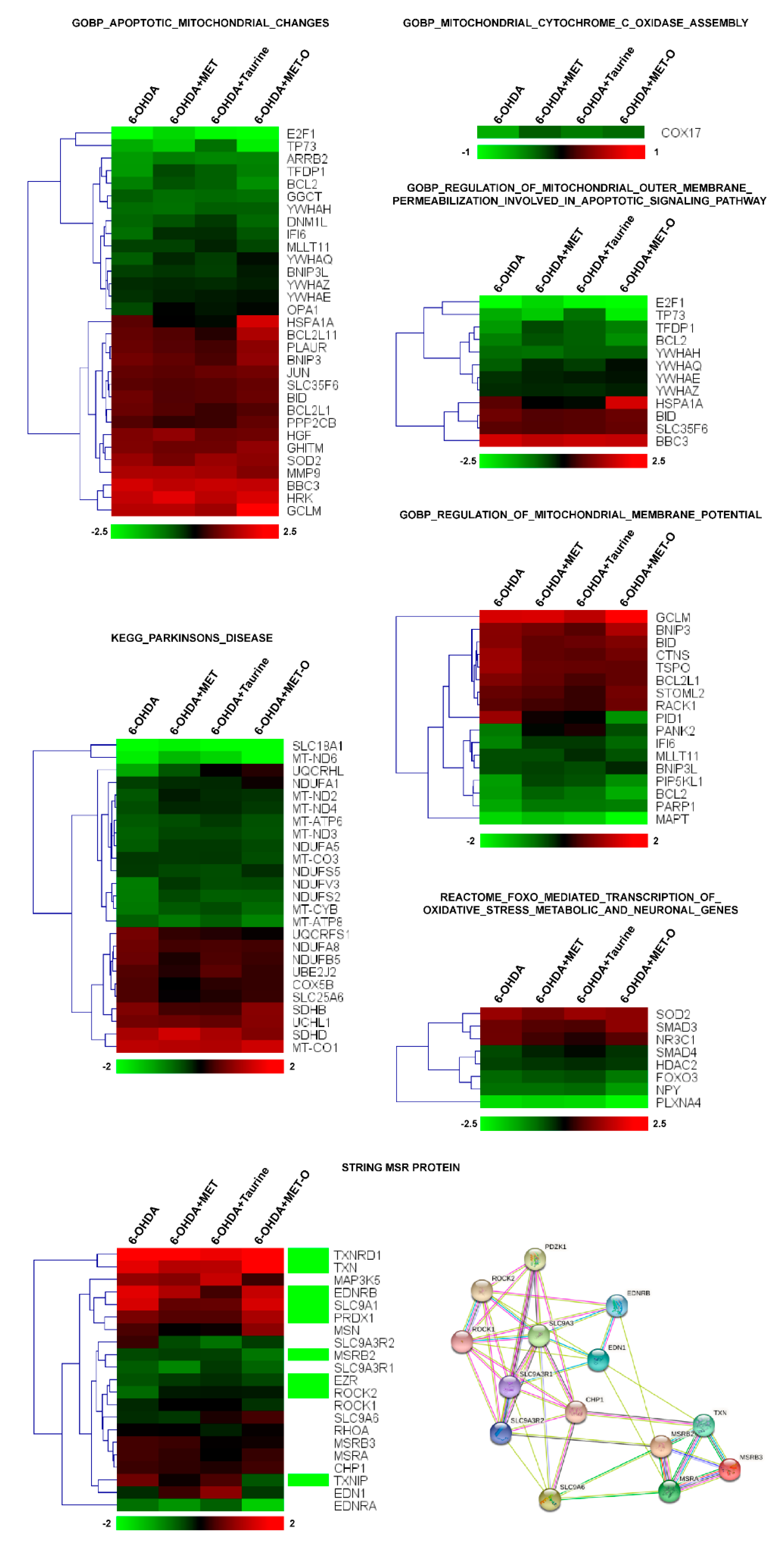 Antioxidants 10 01467 g003