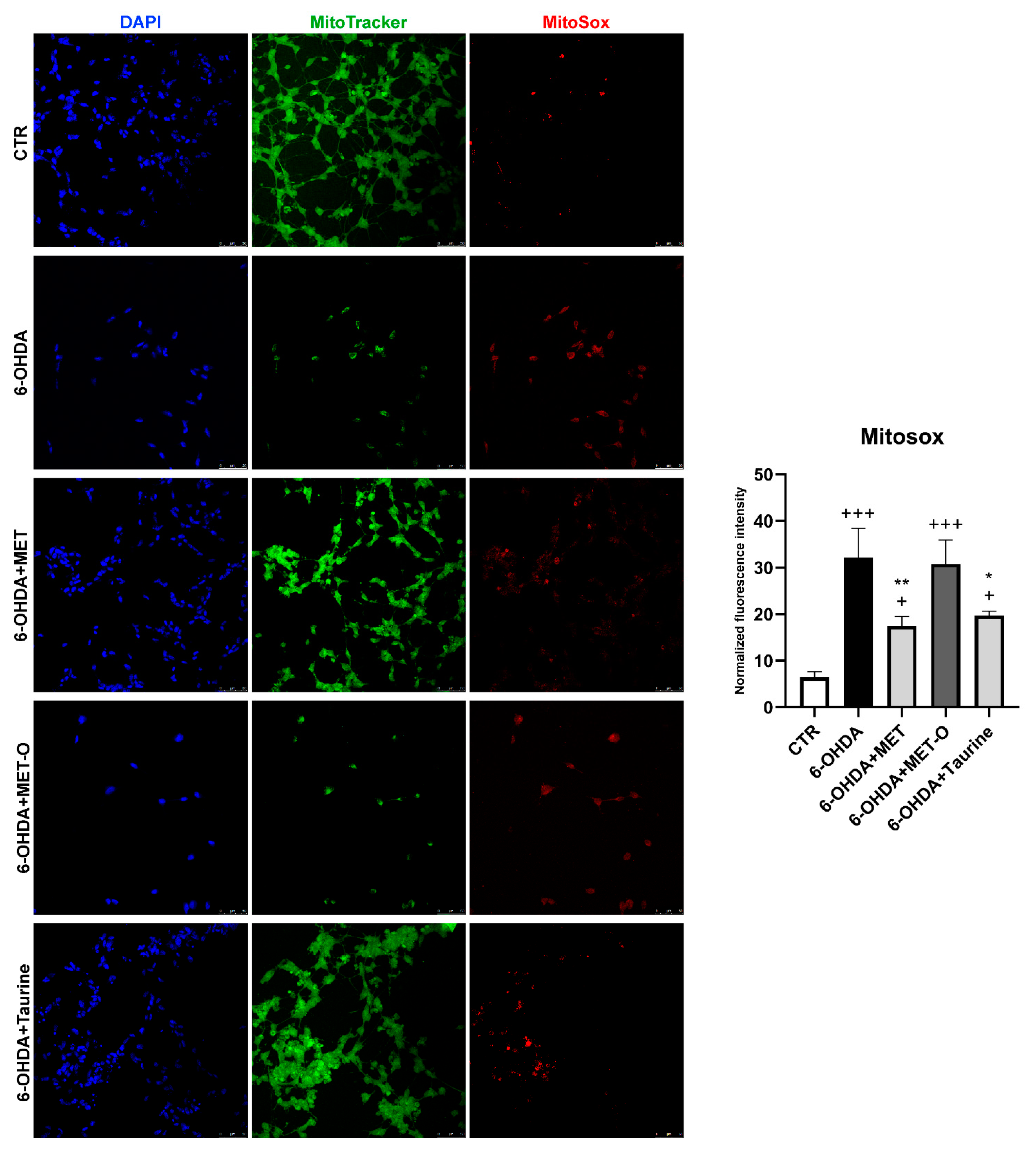 Antioxidants 10 01467 g008