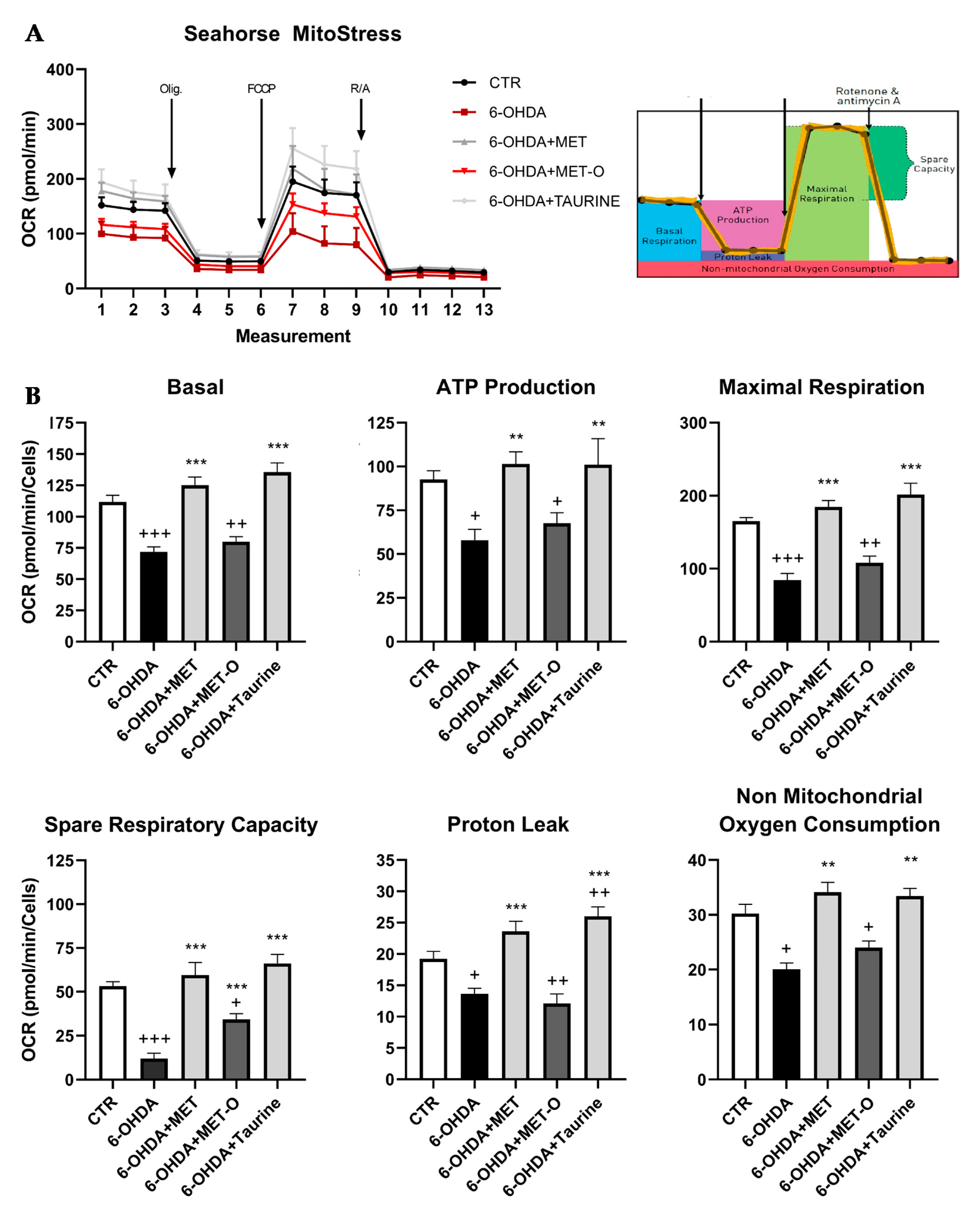 Antioxidants 10 01467 g011