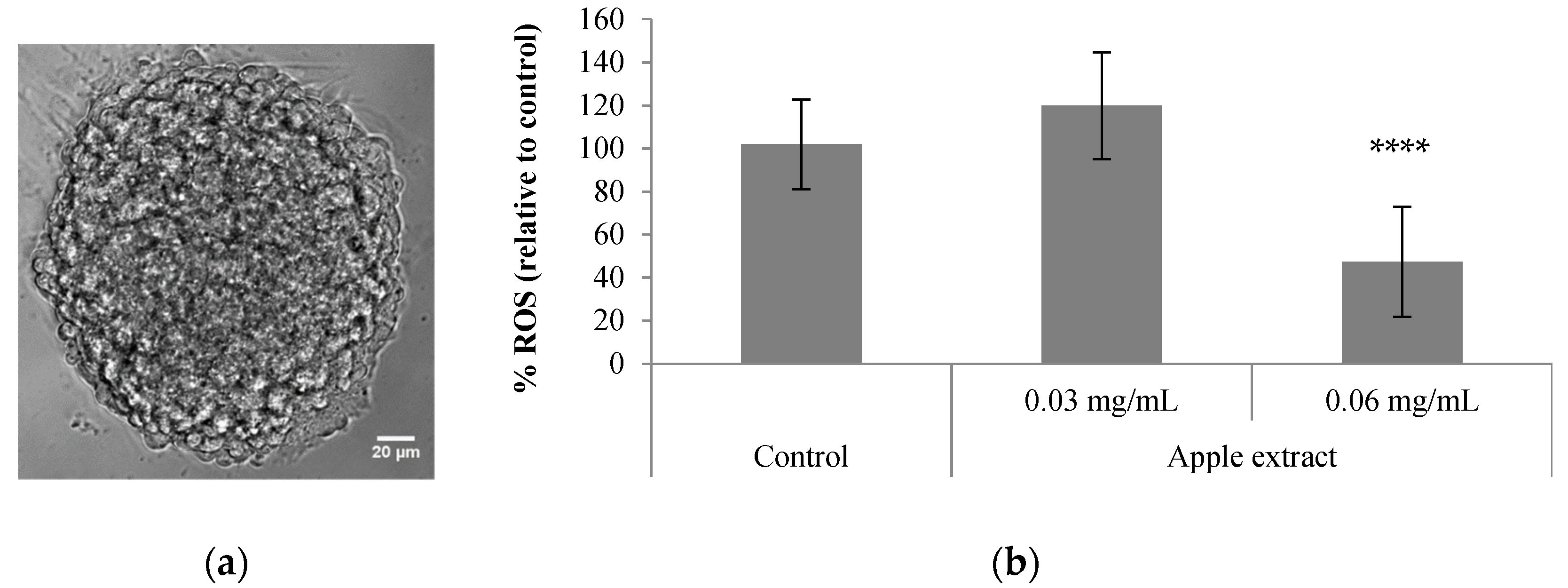 Antioxidants 10 01469 g002