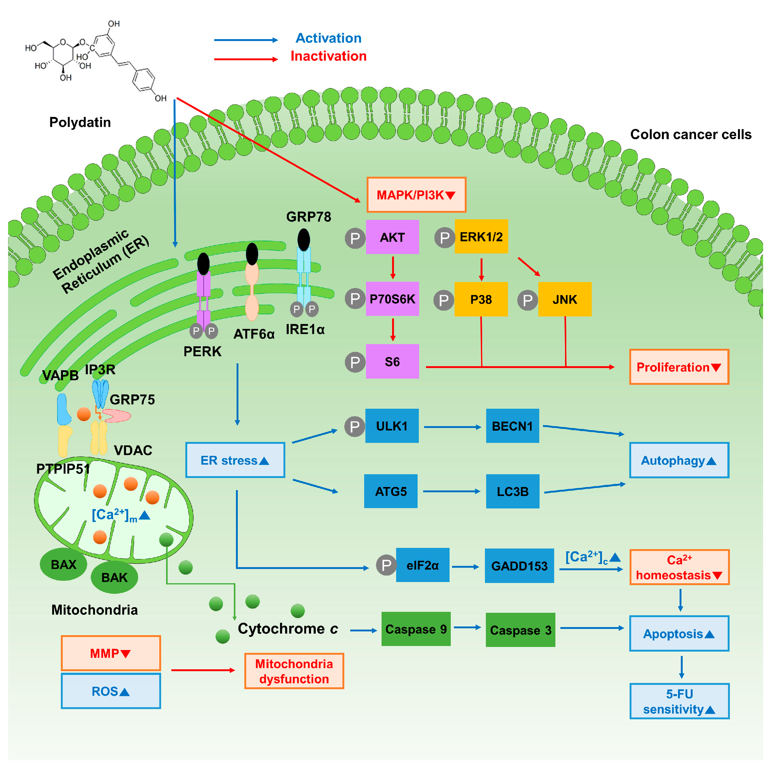 Antioxidants 10 01477 g008