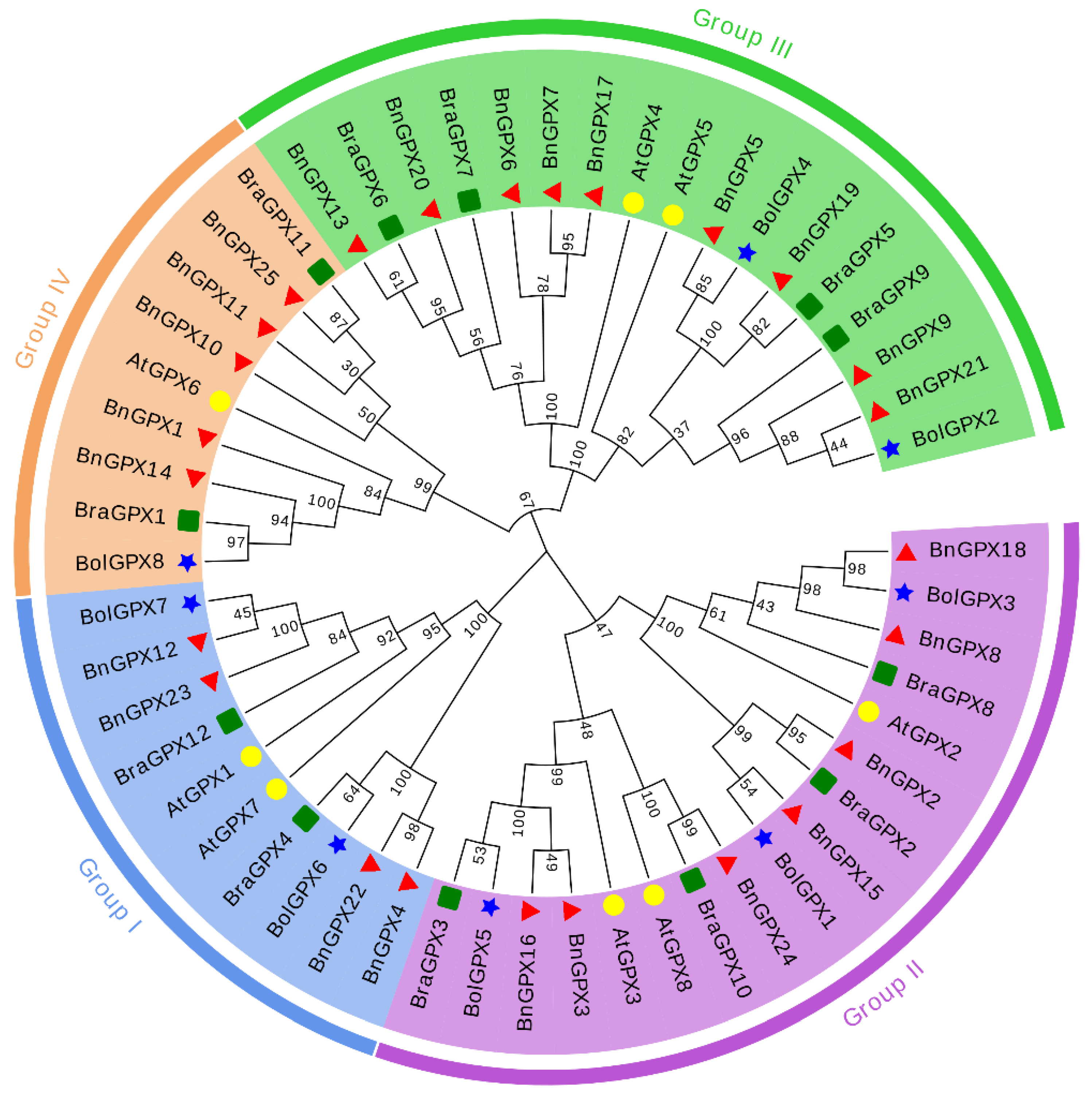 Antioxidants 10 01481 g001