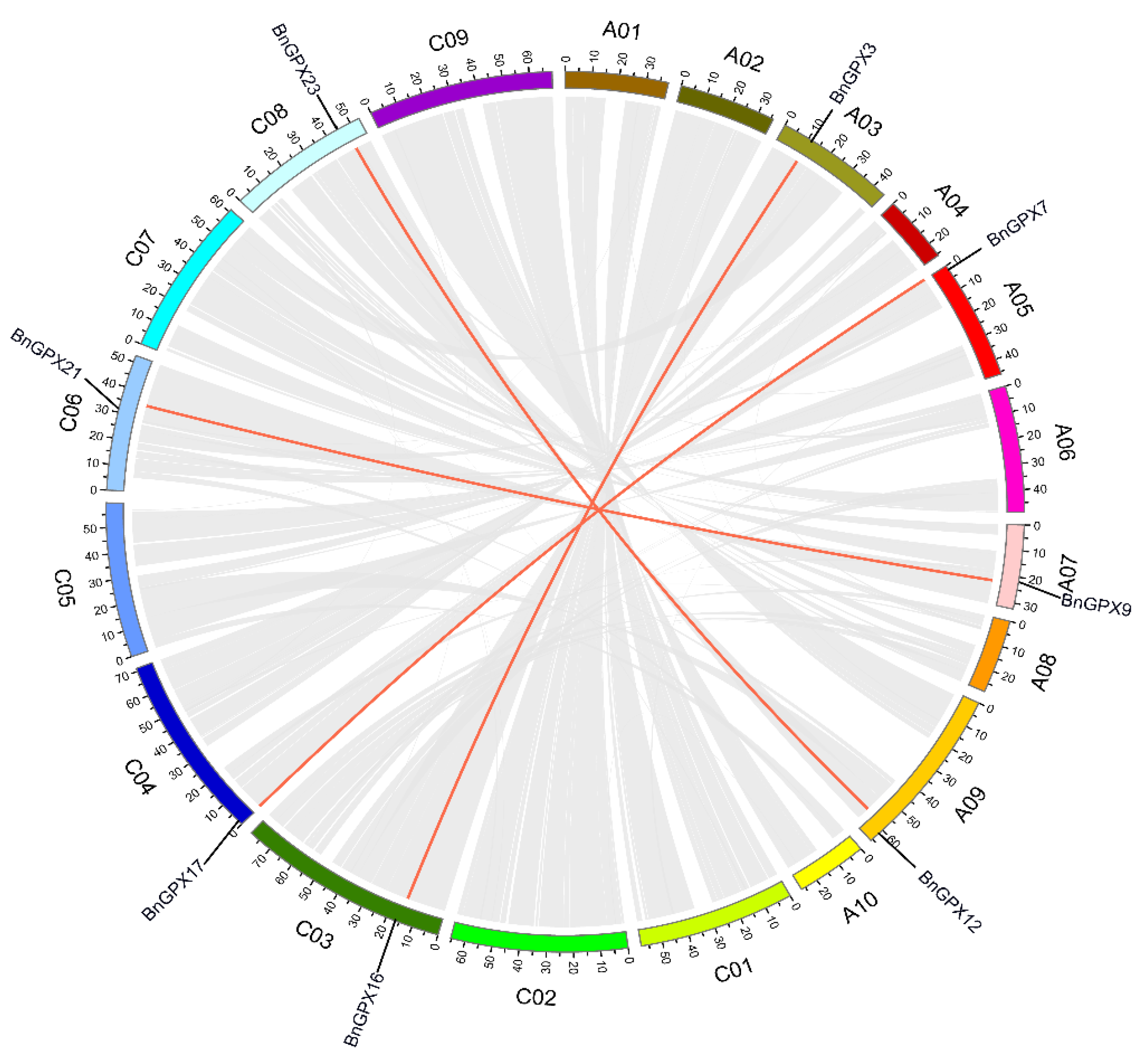 Antioxidants 10 01481 g002