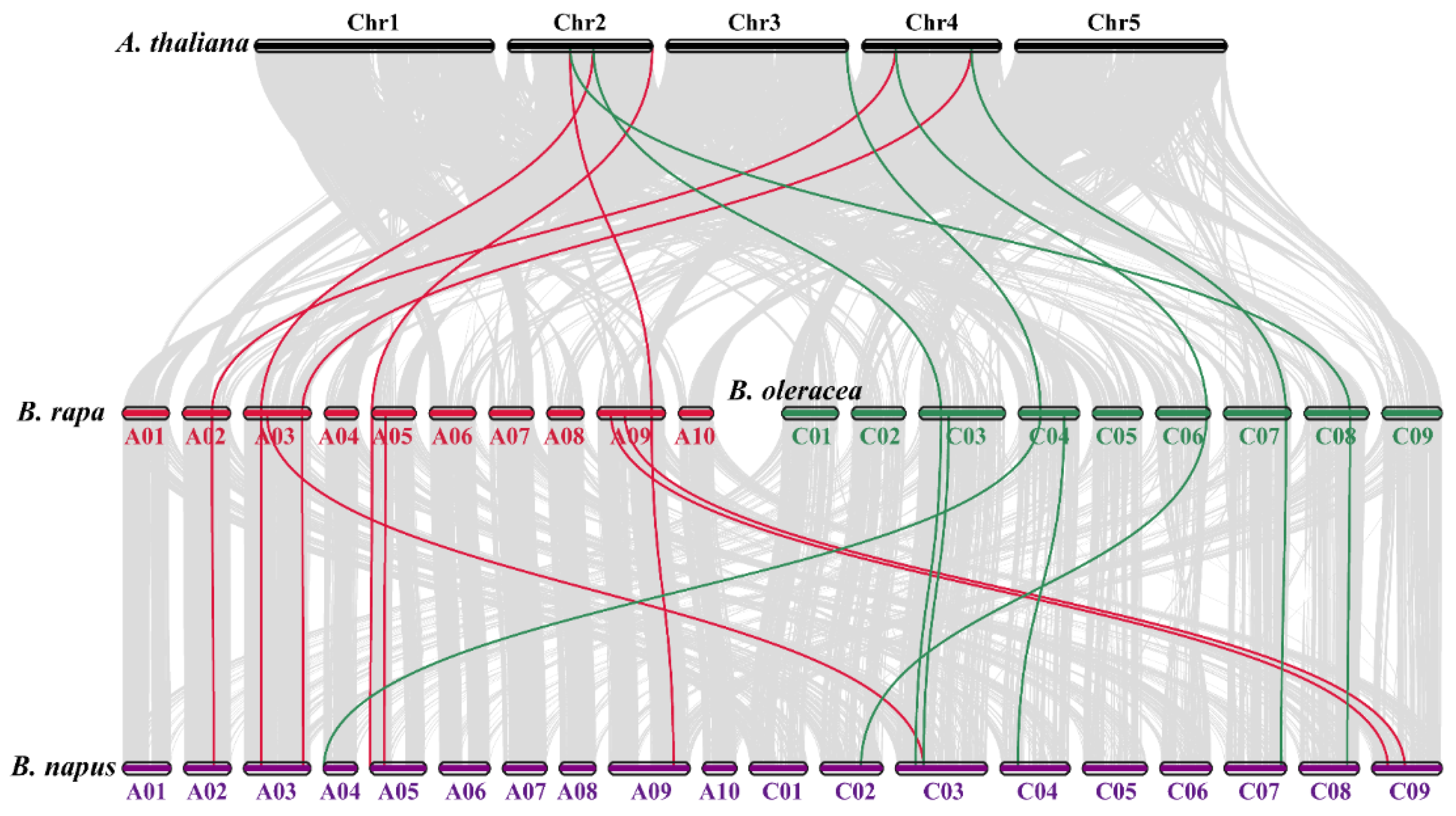 Antioxidants 10 01481 g003