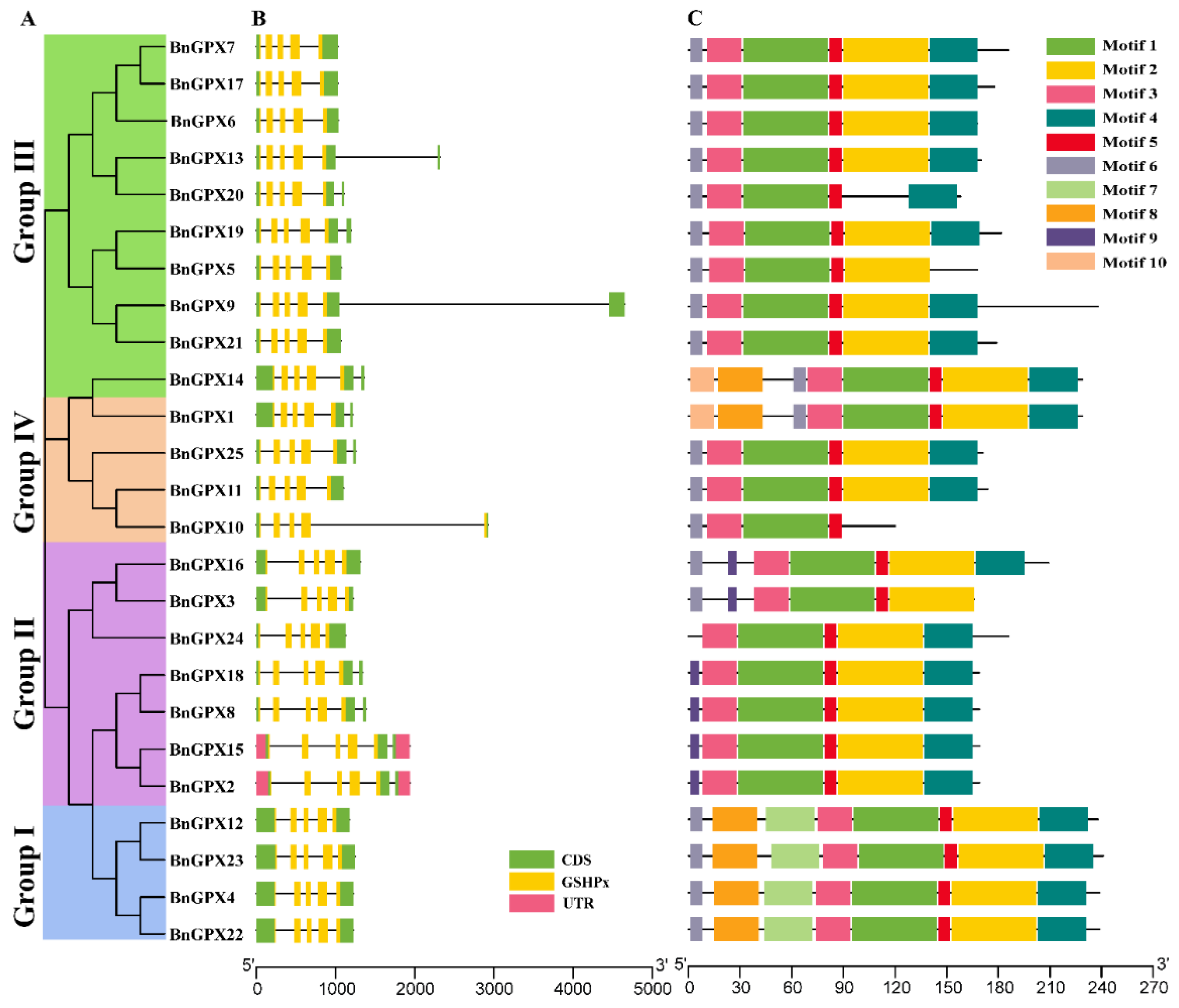 Antioxidants 10 01481 g004