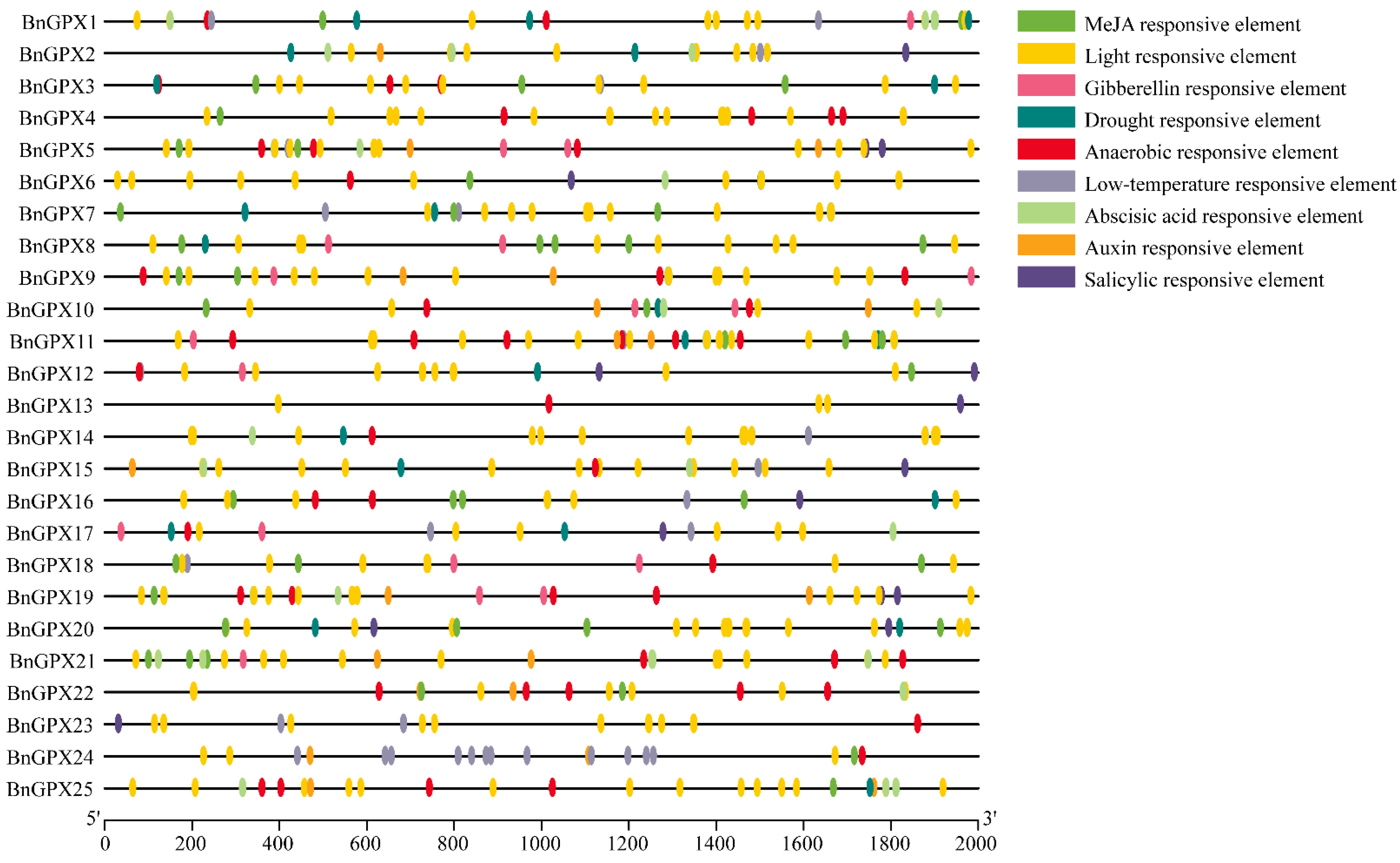 Antioxidants 10 01481 g005