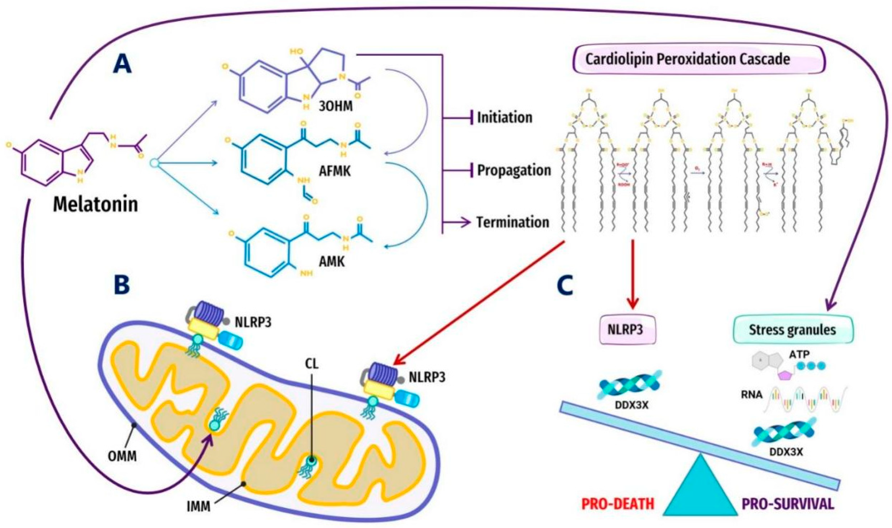 Antioxidants 10 01483 g002