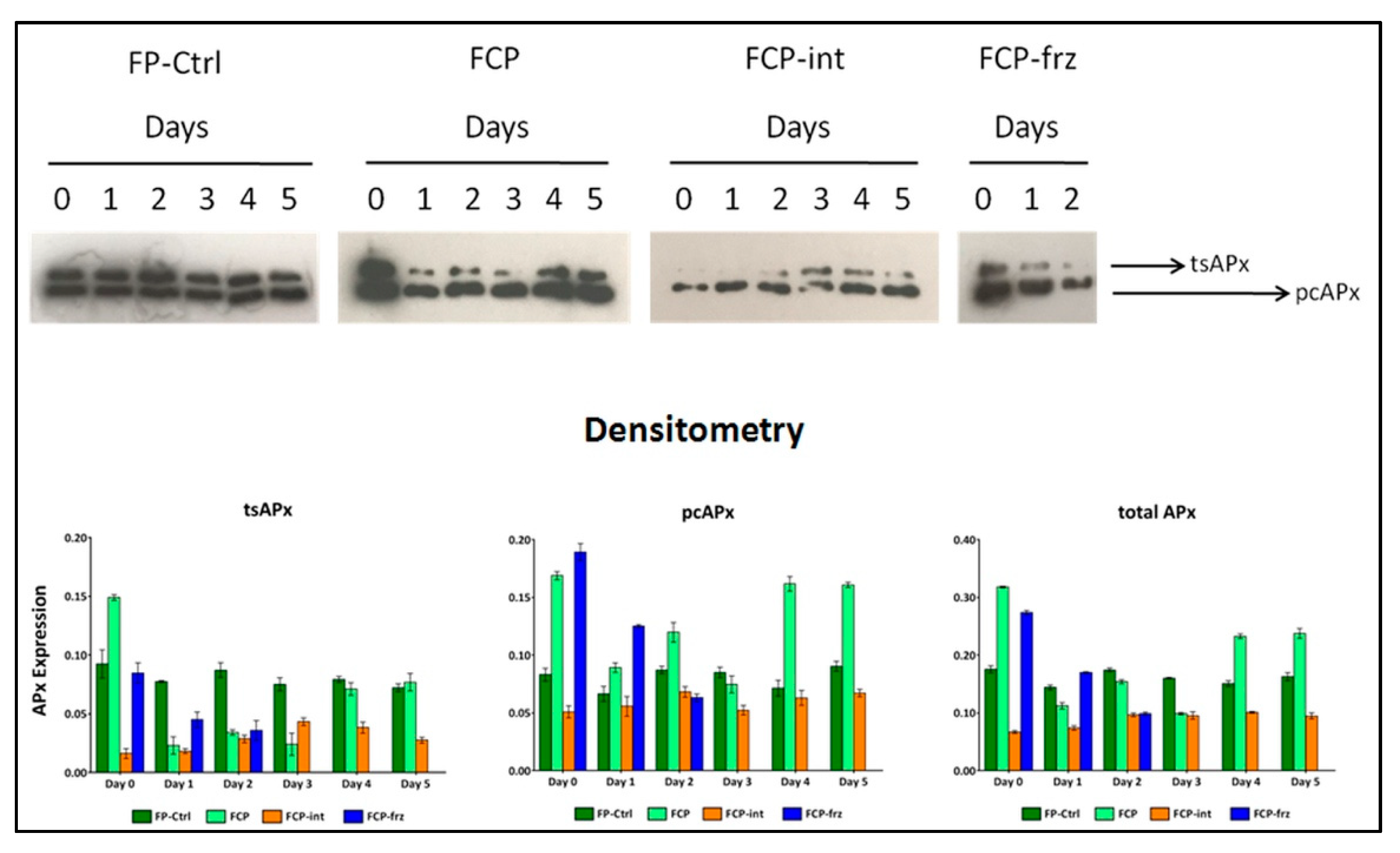 Antioxidants 10 01485 g005