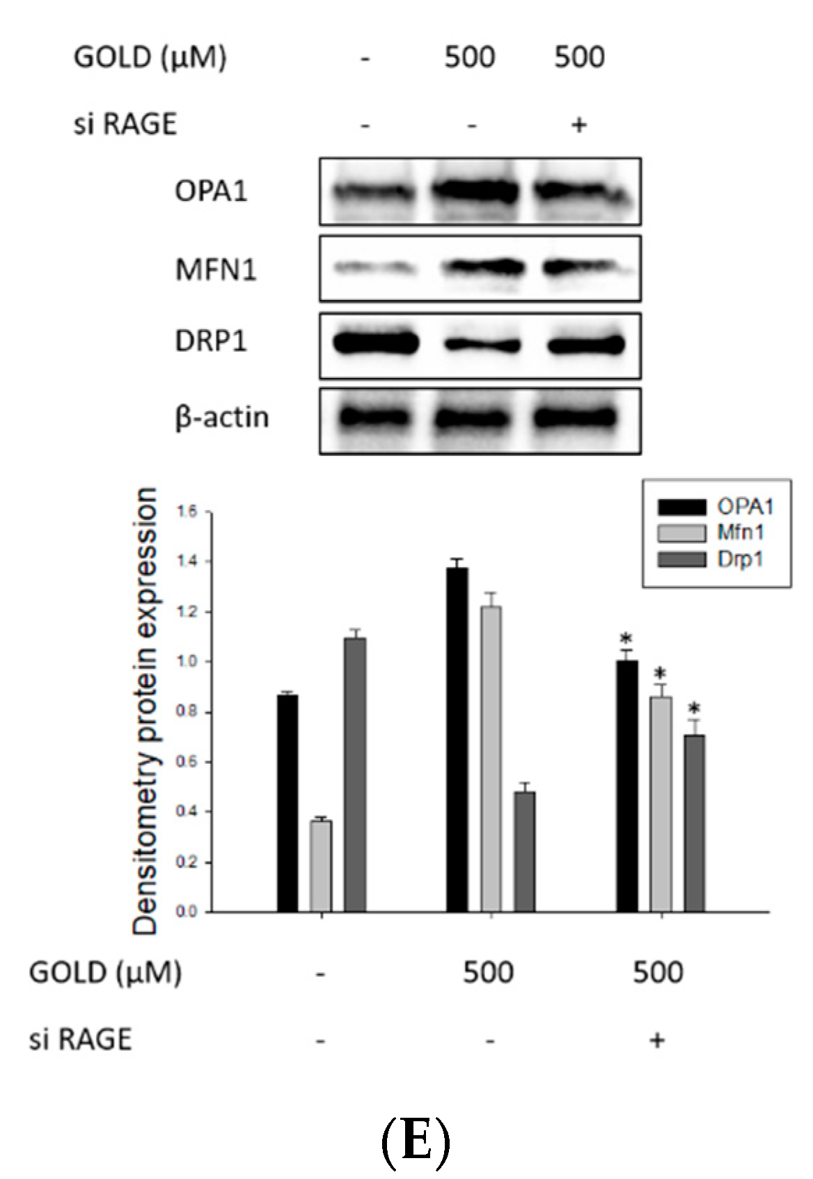 Antioxidants 10 01486 g006b