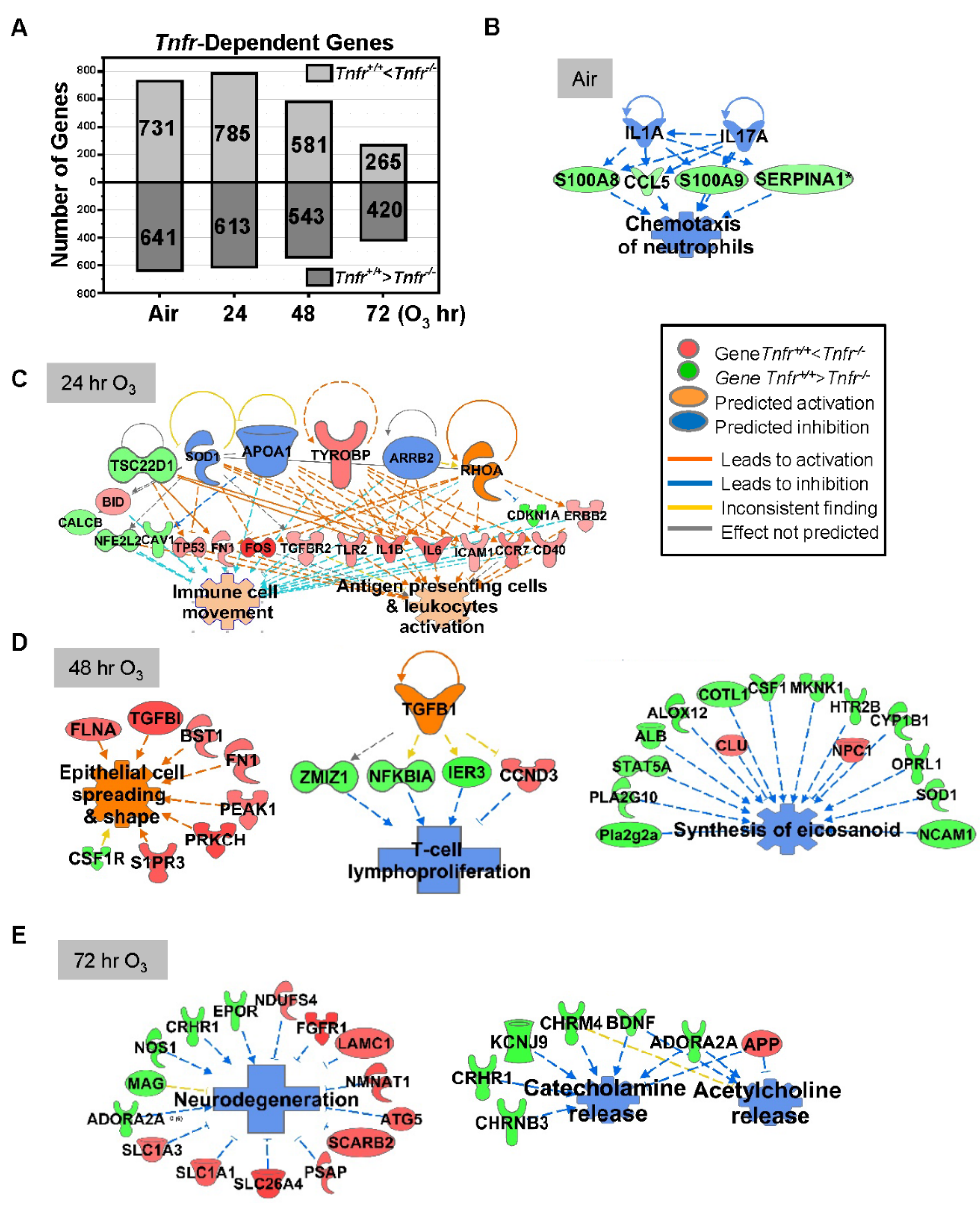 Antioxidants 10 01489 g002 Antioxidants 10 01489 g002