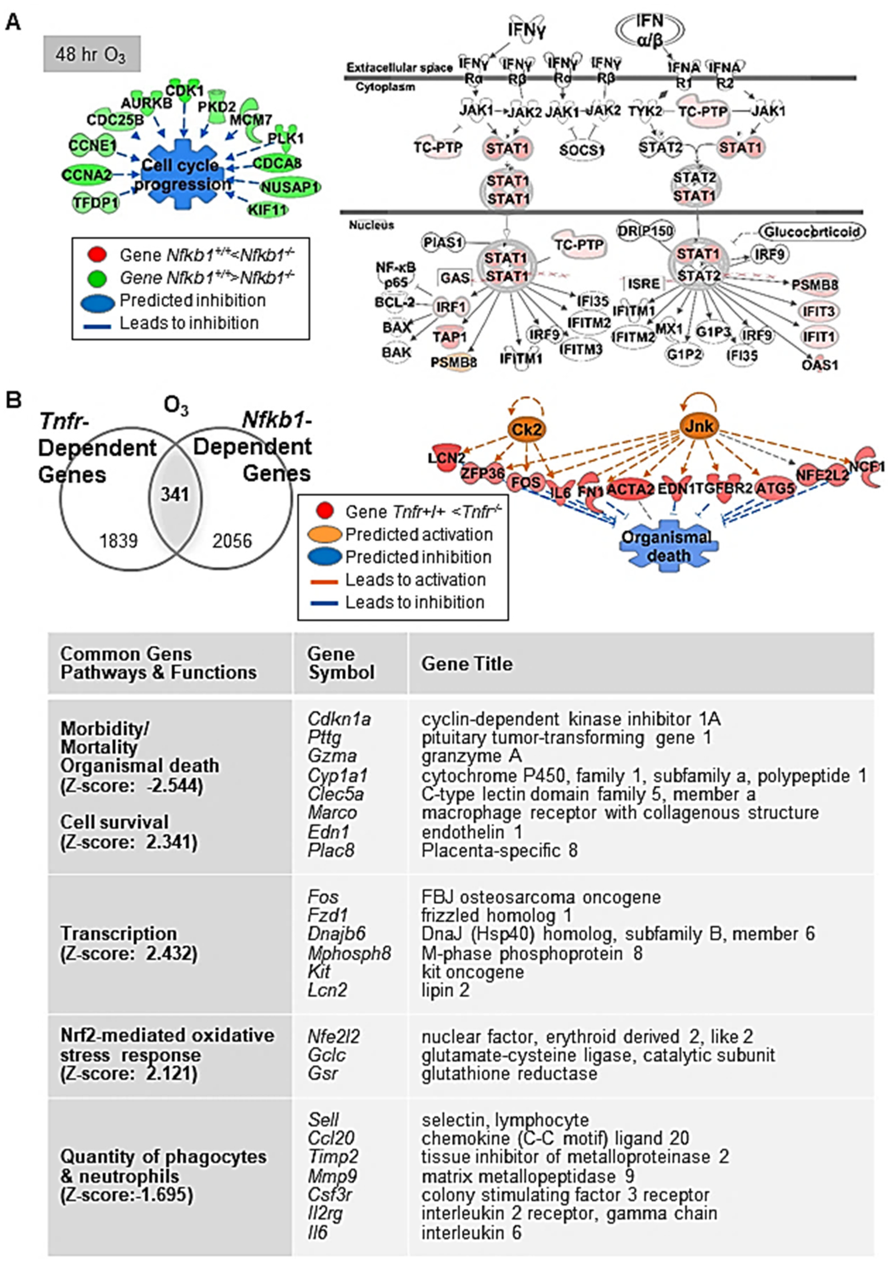 Antioxidants 10 01489 g003 Antioxidants 10 01489 g003