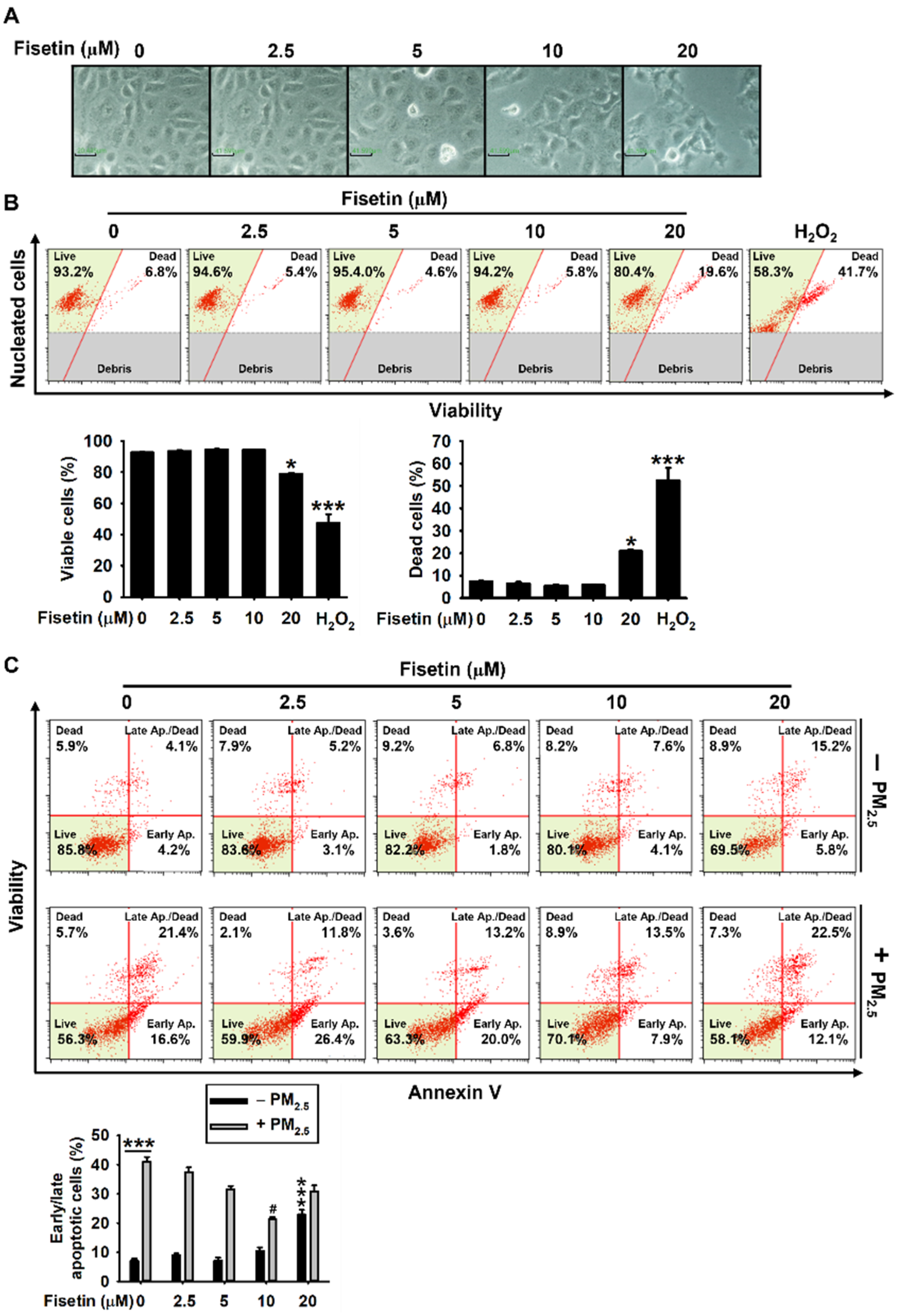 Antioxidants 10 01492 g001