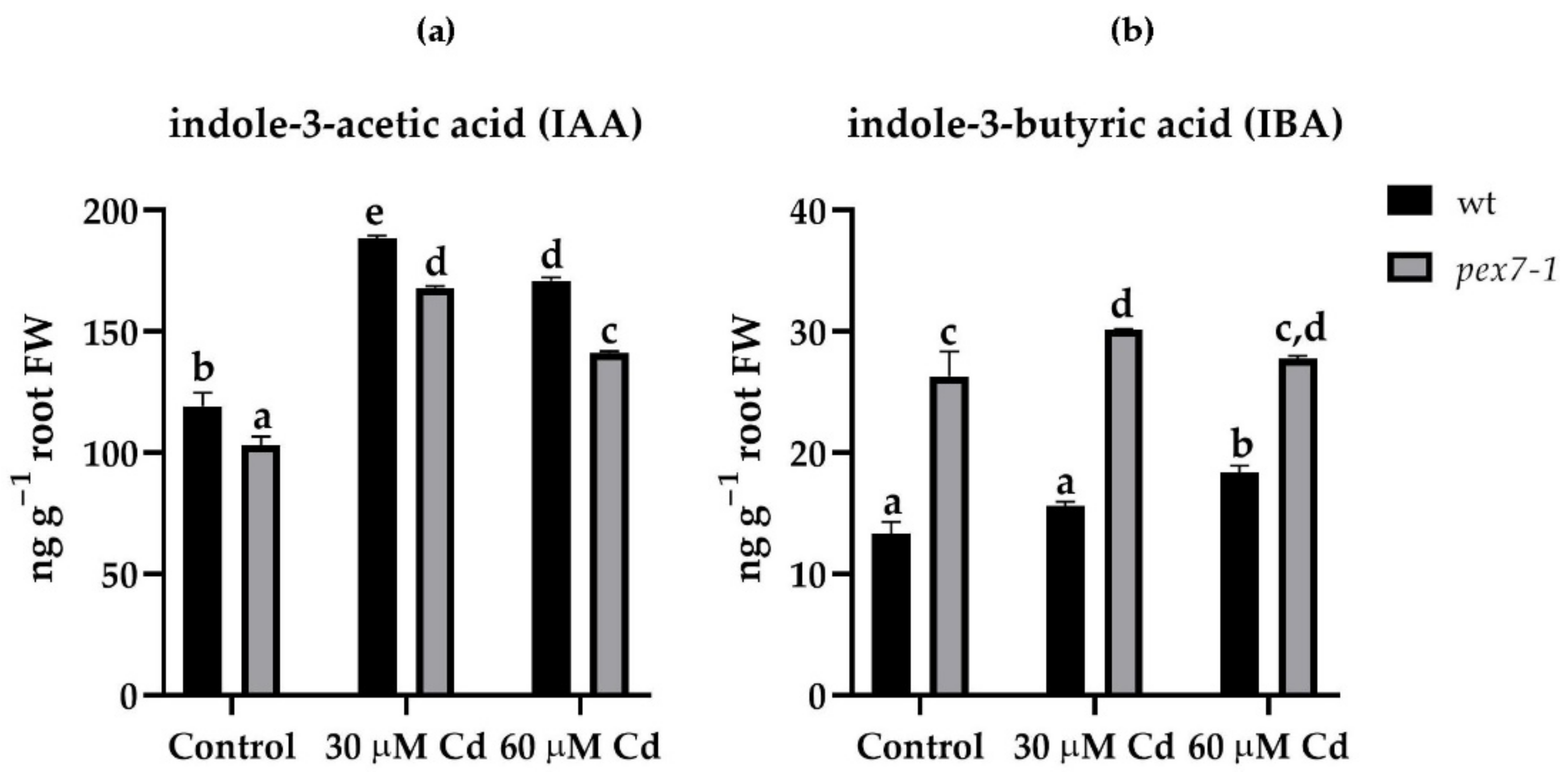 Antioxidants 10 01494 g003