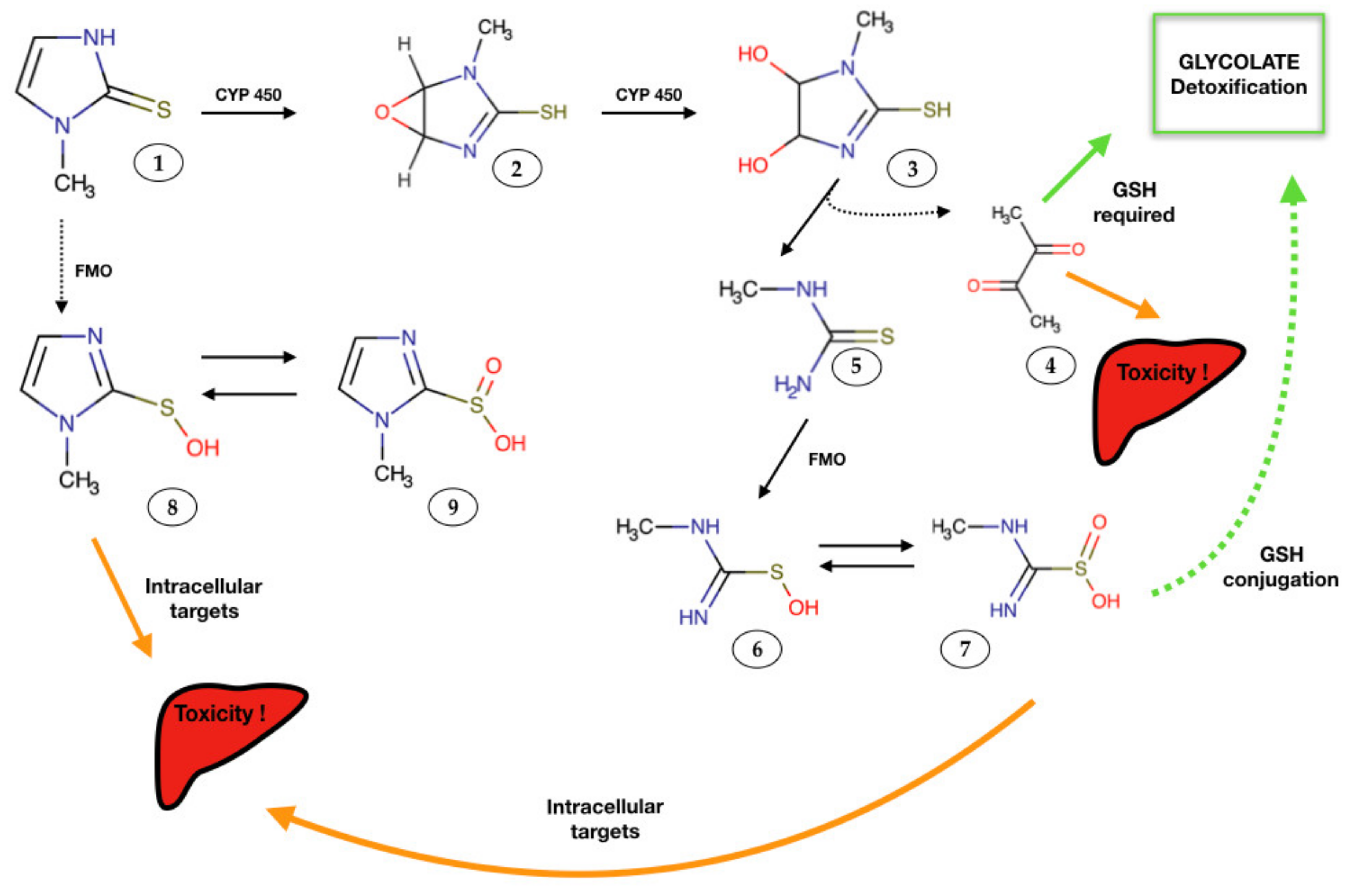 Antioxidants 10 01496 g001
