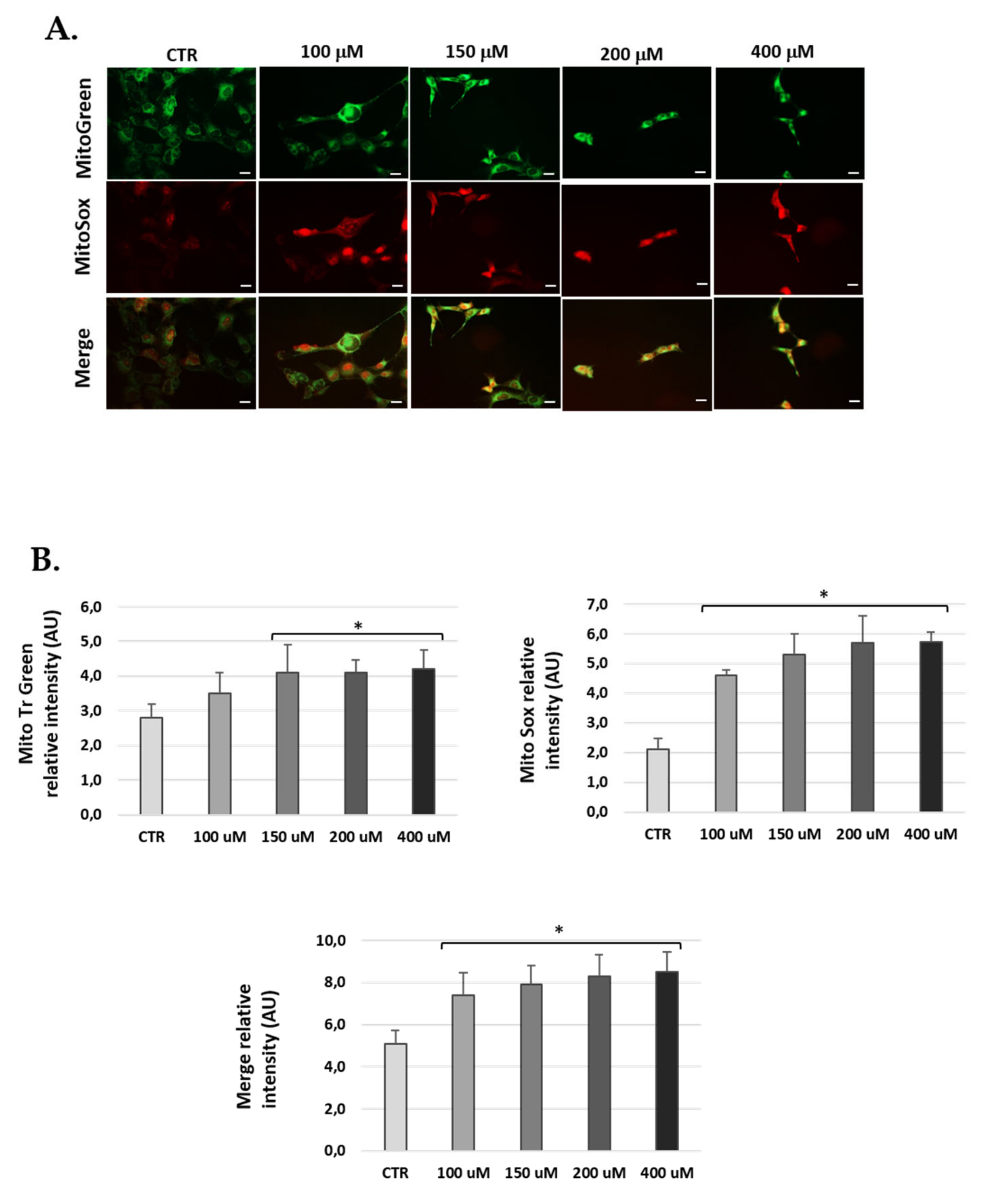 Antioxidants 10 01497 g006
