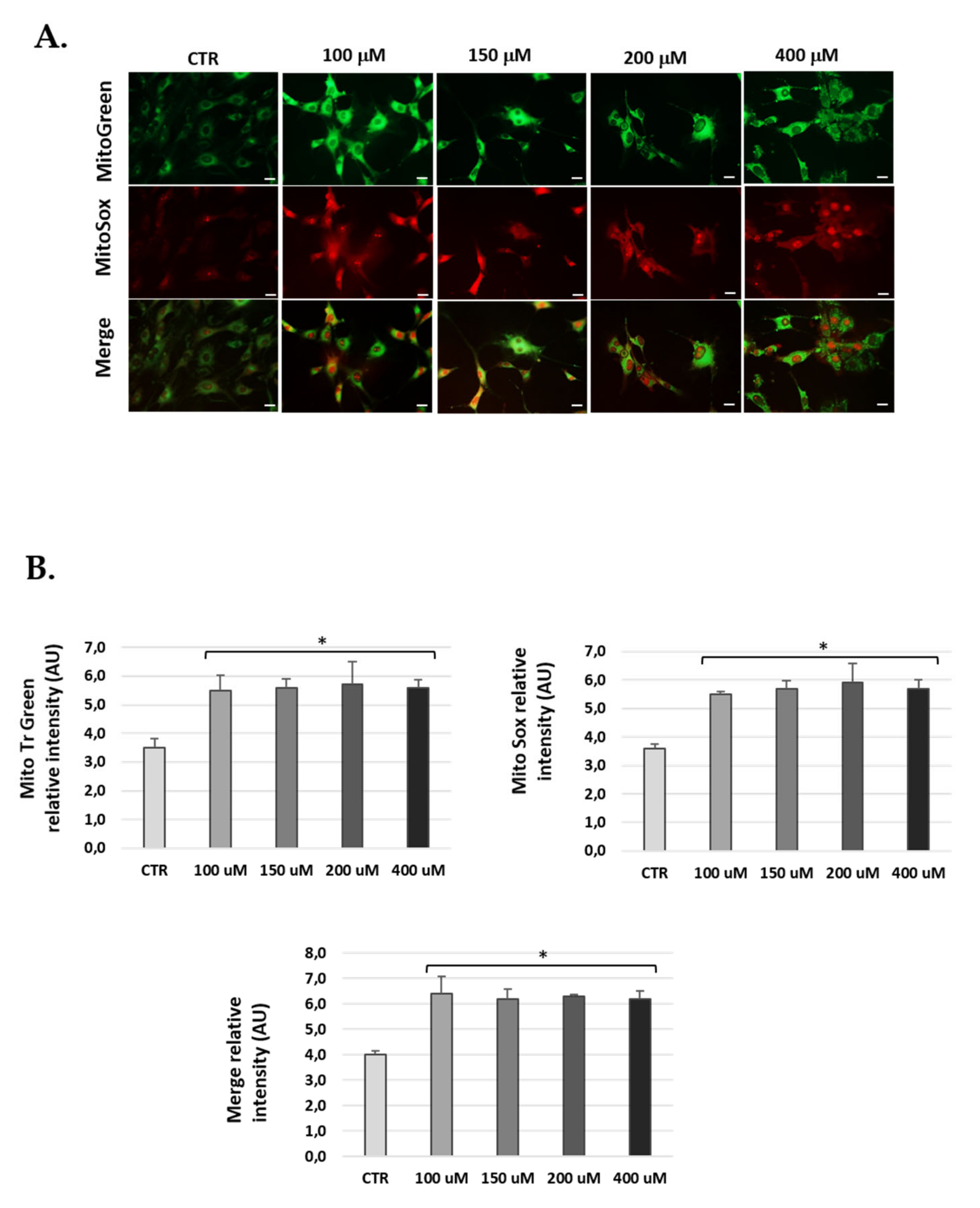 Antioxidants 10 01497 g007