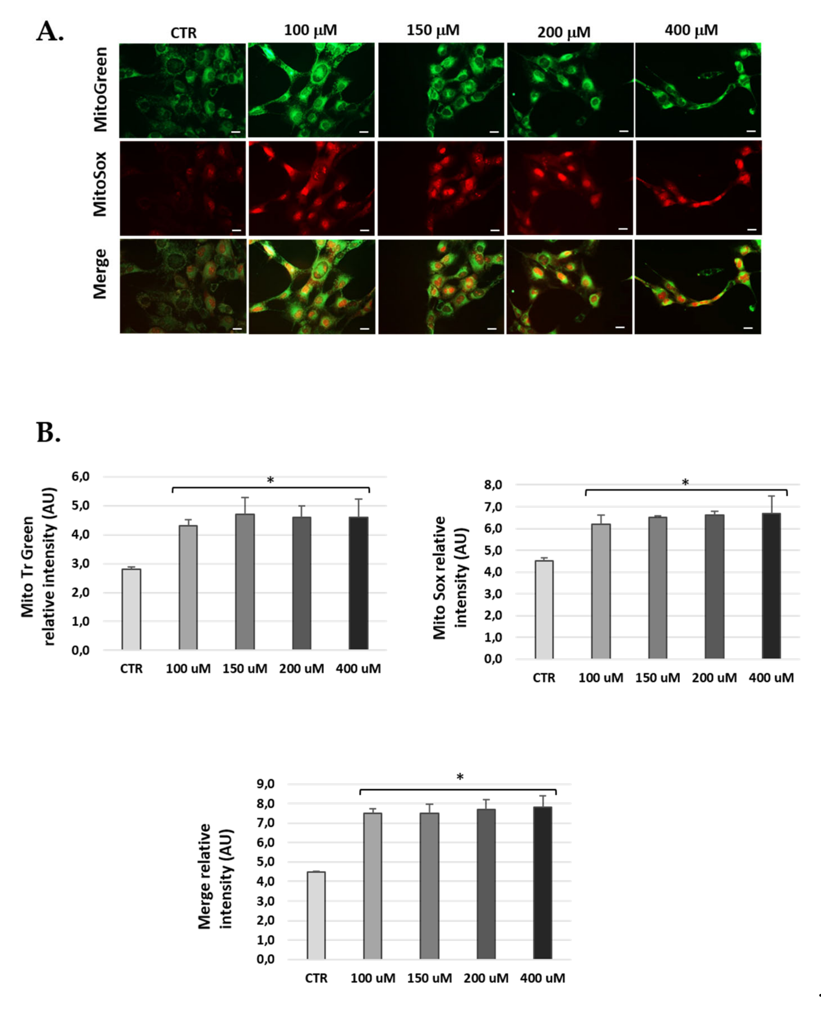 Antioxidants 10 01497 g008