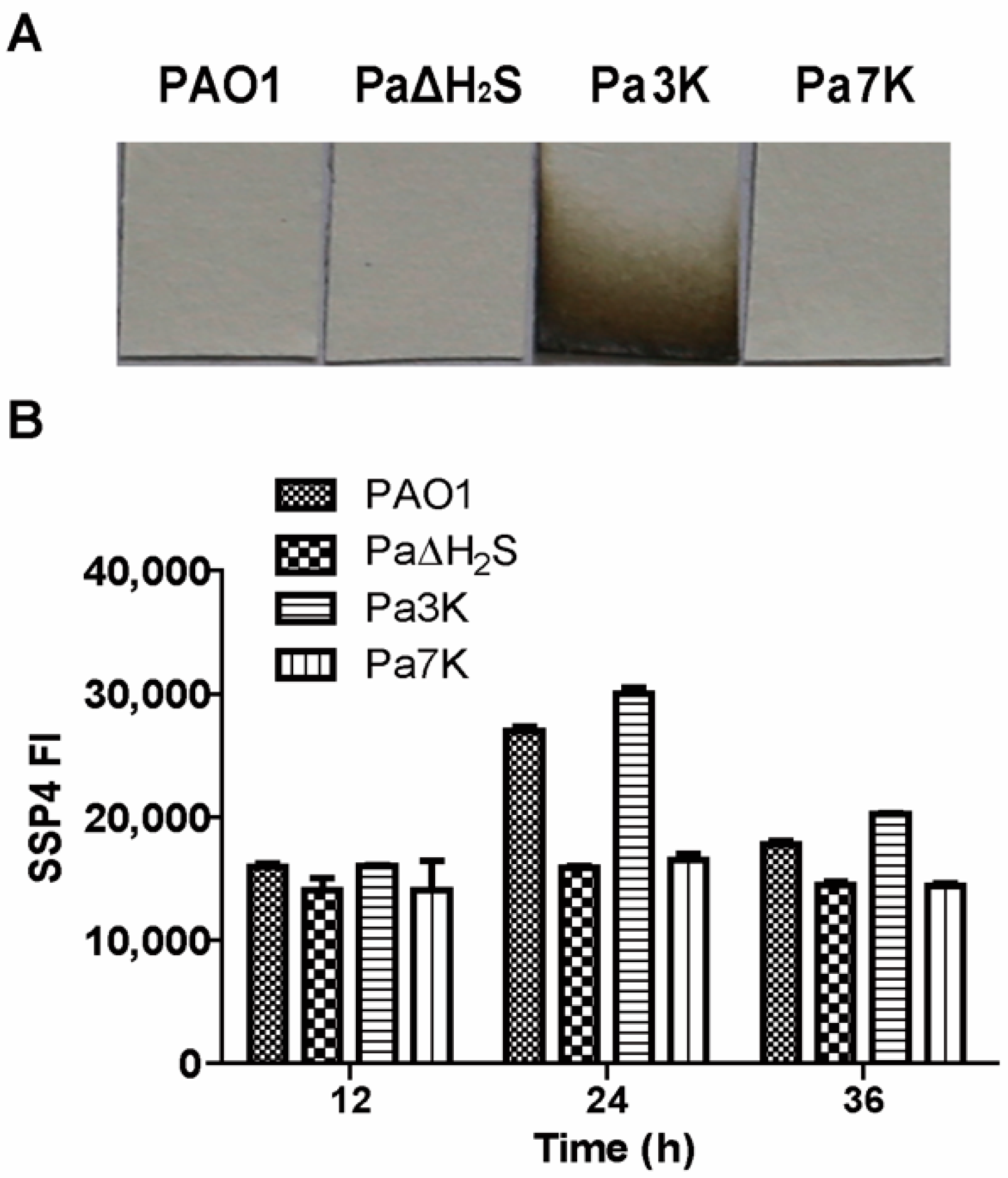 Antioxidants 10 01498 g001
